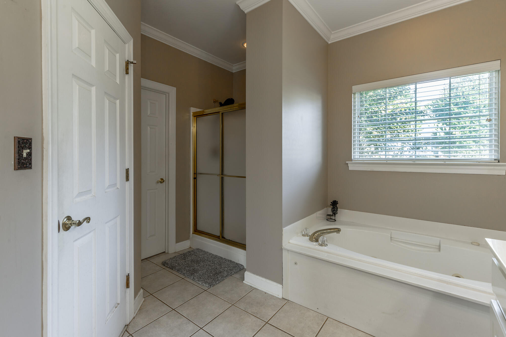 780 Norfolk Green Circle, Chattanooga