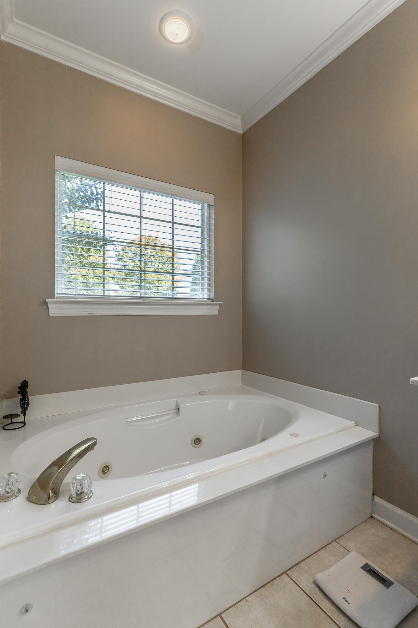 780 Norfolk Green Circle, Chattanooga