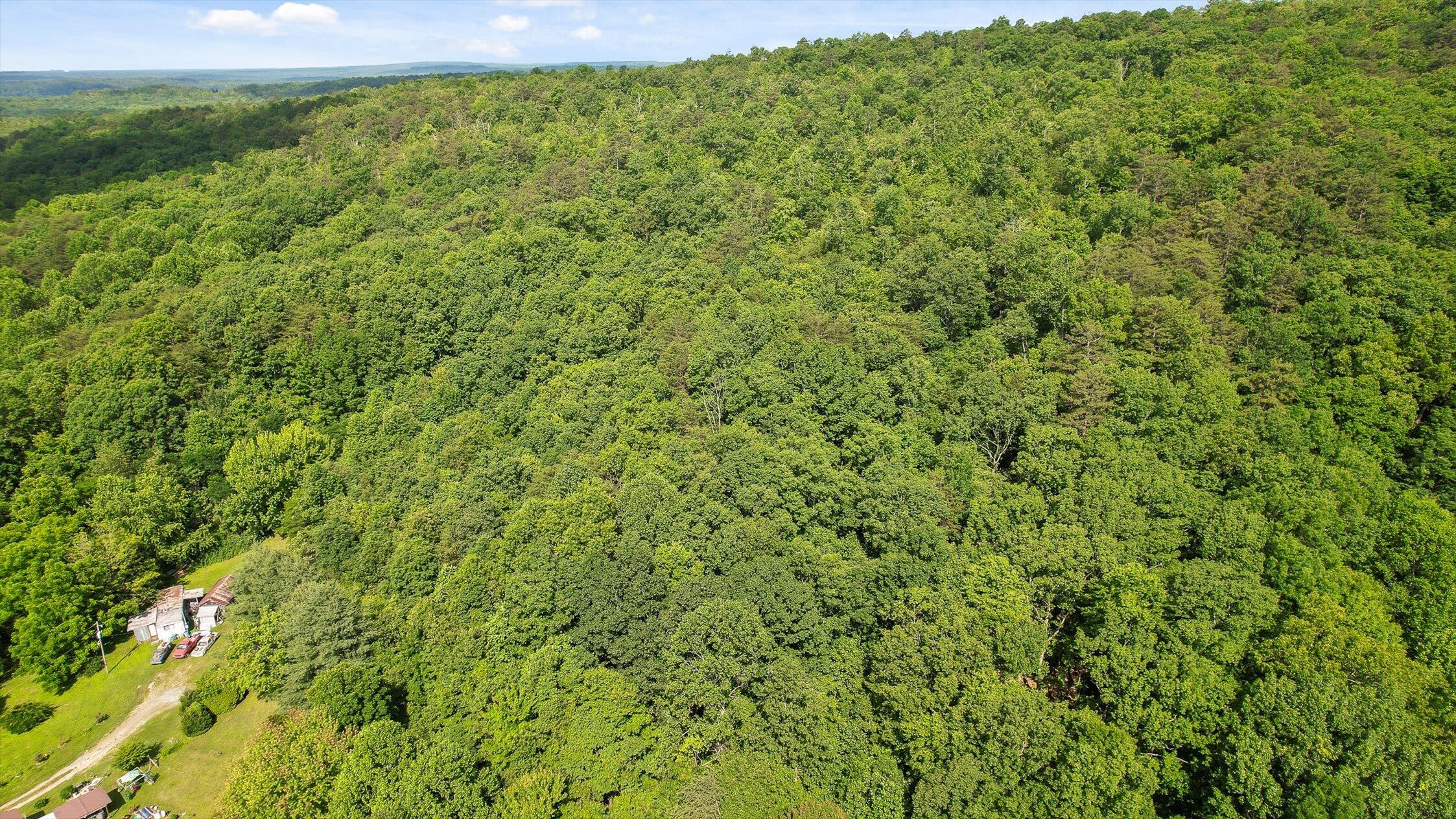 4300 Pocket Road, Whitwell