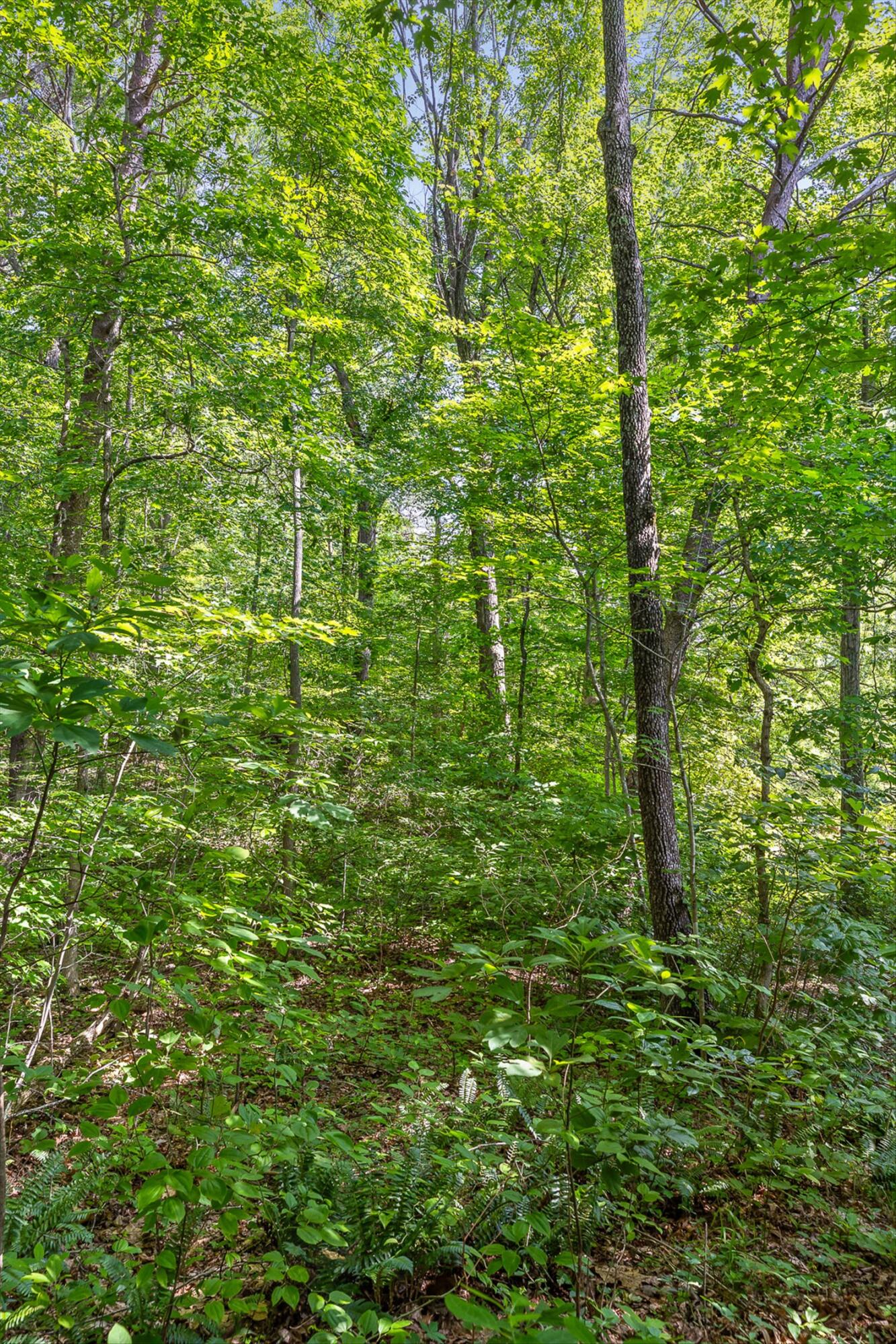 4300 Pocket Road, Whitwell