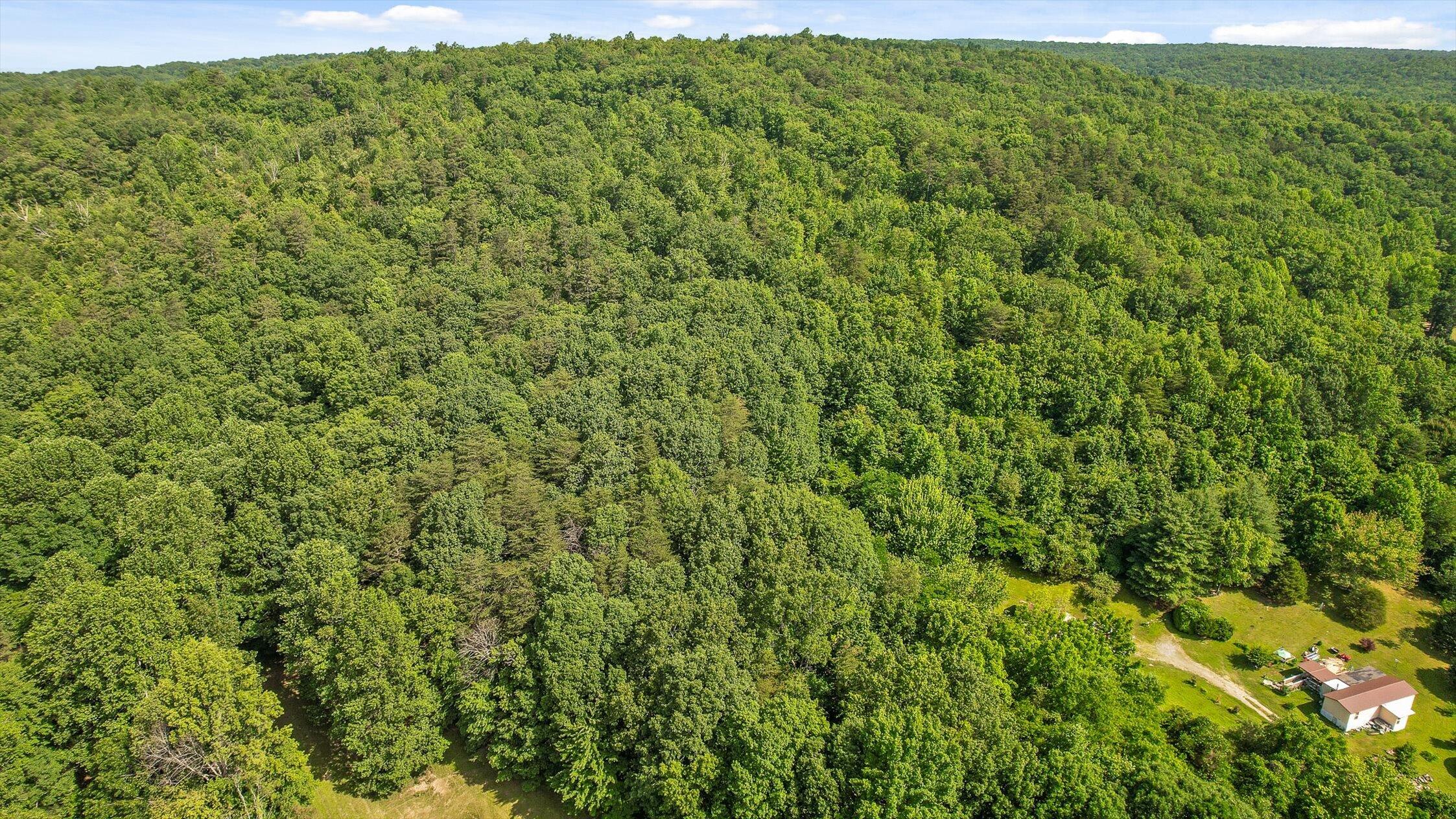 4300 Pocket Road, Whitwell