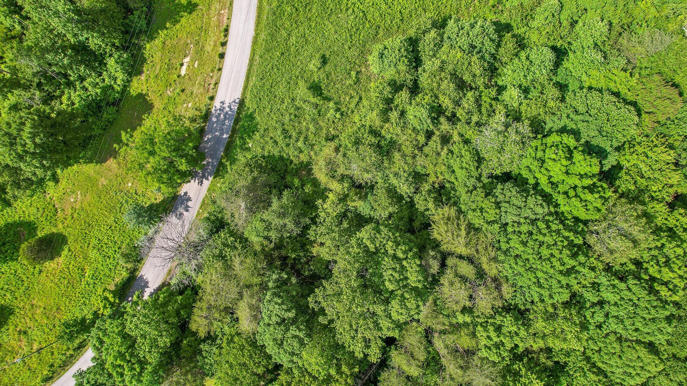 4300 Pocket Road, Whitwell