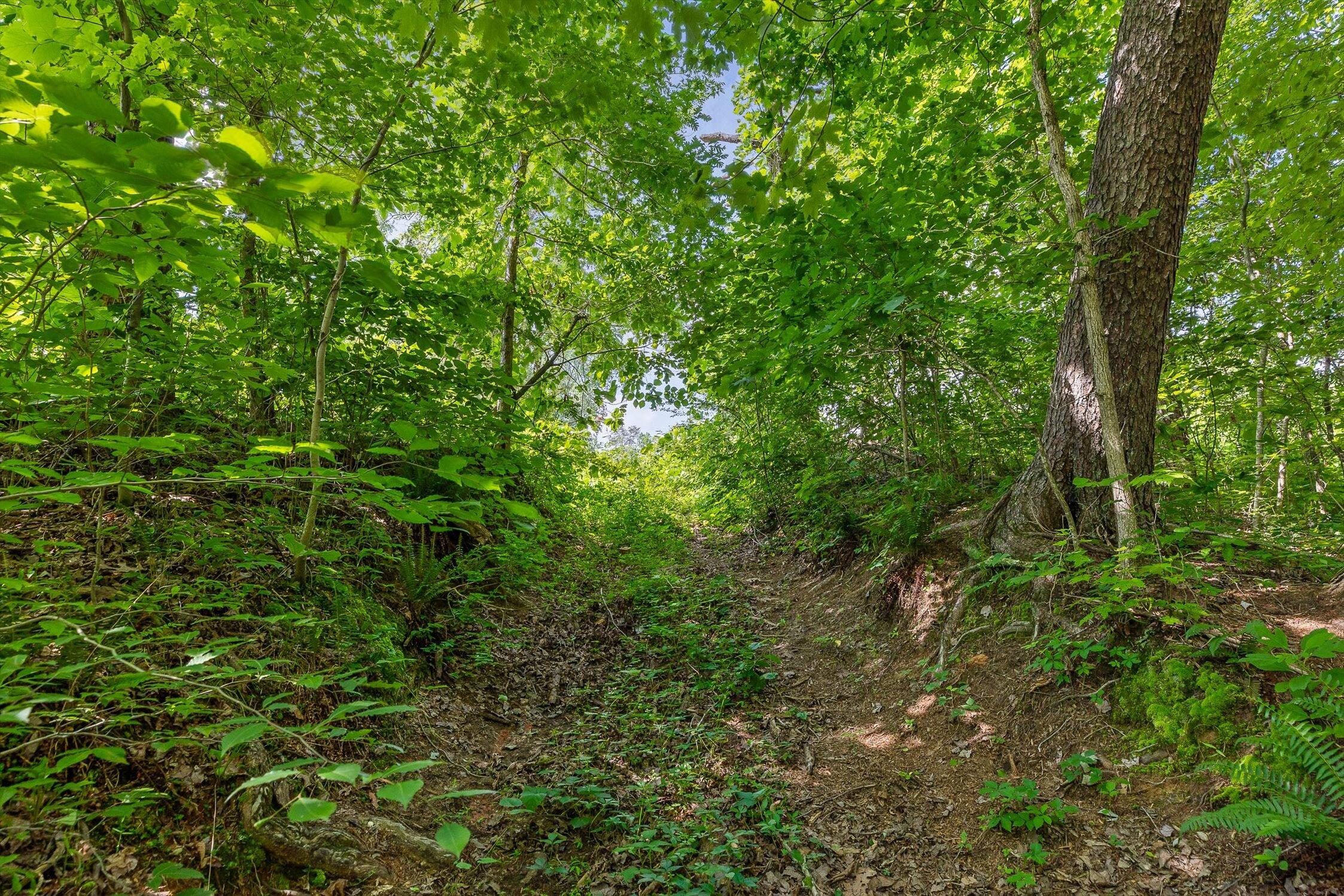 4300 Pocket Road, Whitwell