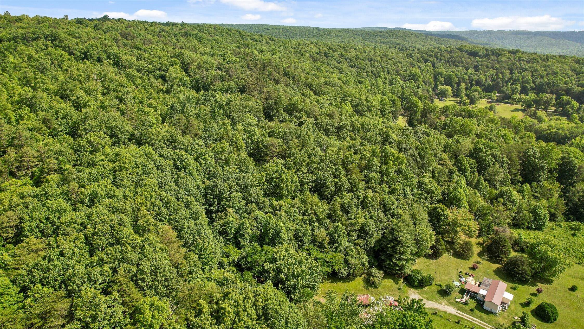 4300 Pocket Road, Whitwell