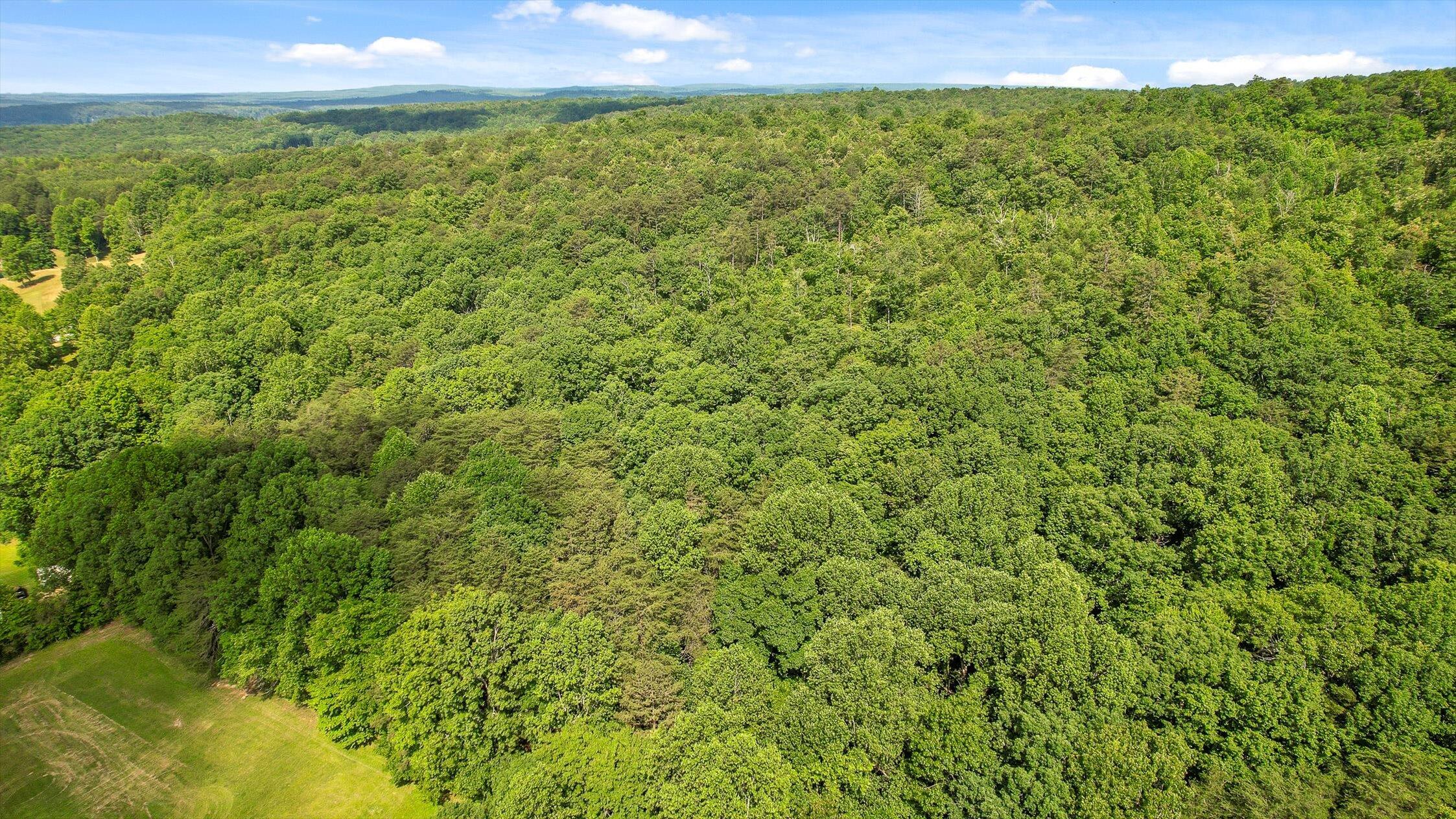 4300 Pocket Road, Whitwell