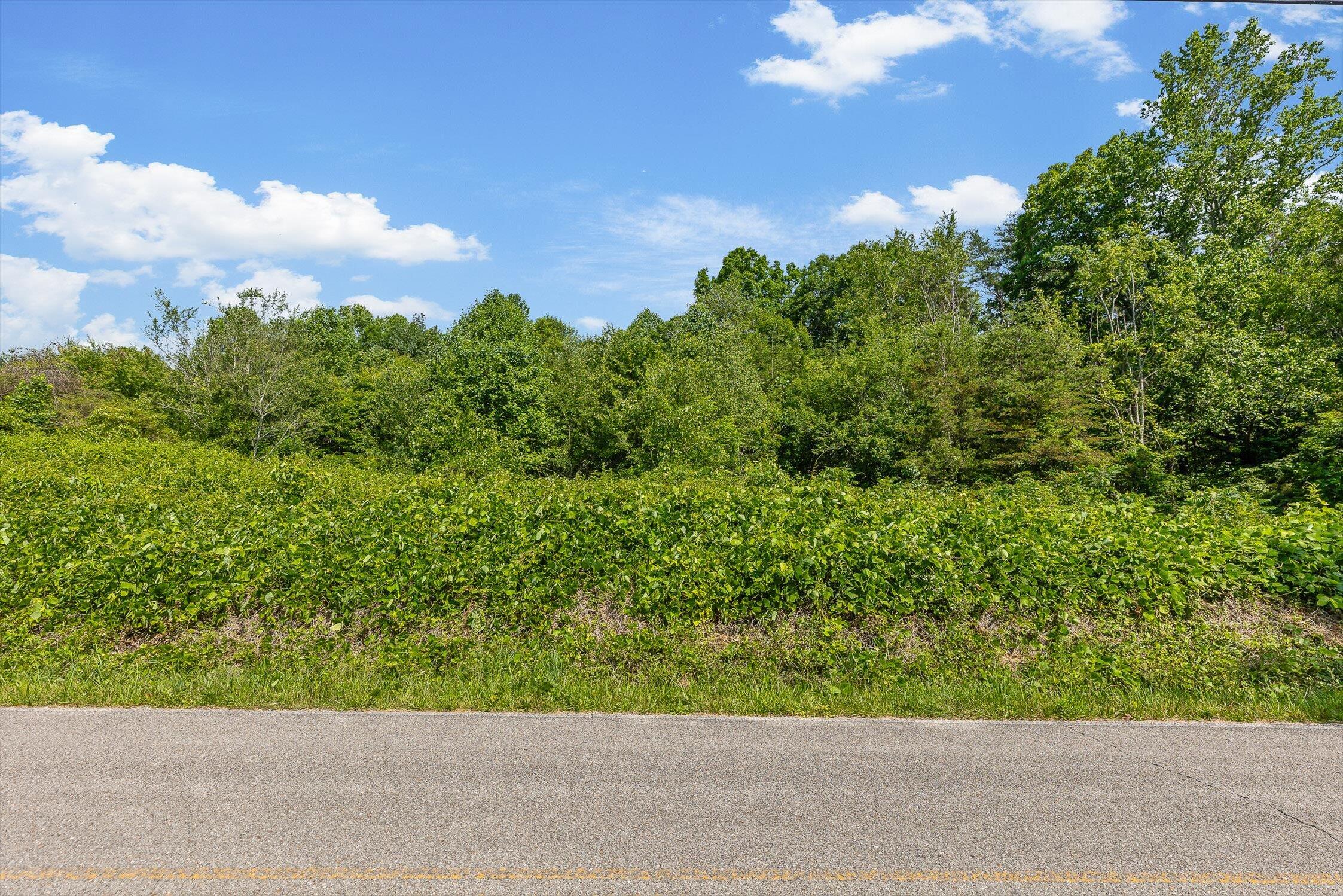 4300 Pocket Road, Whitwell