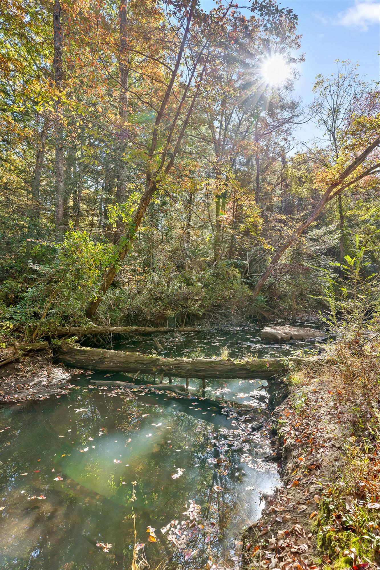29 Mockingbird Drive, Crossville
