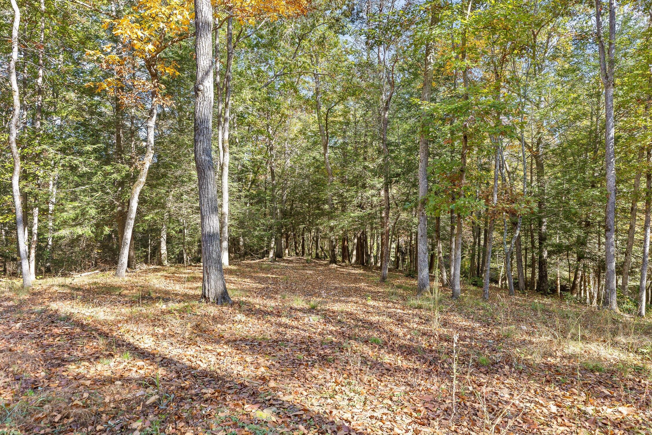 29 Mockingbird Drive, Crossville