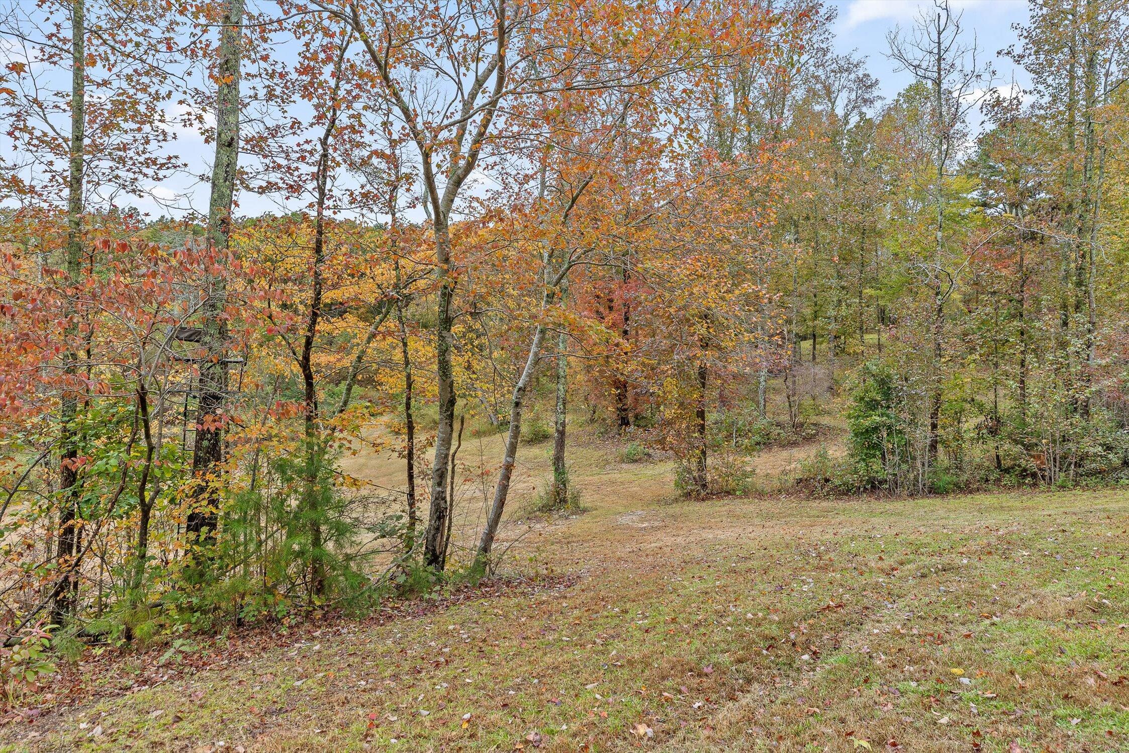 1166 Lower Mill Creek Road