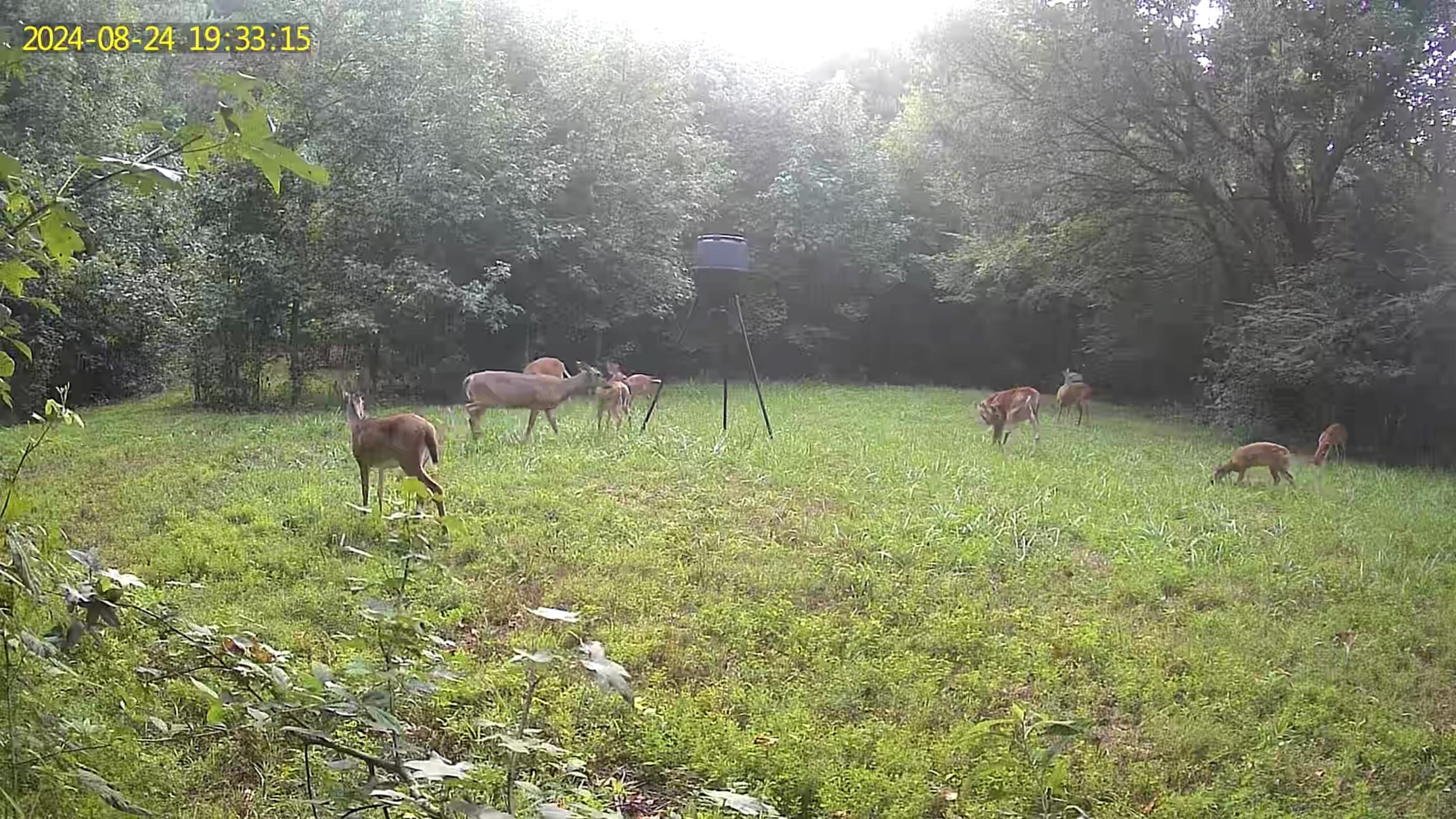 1166 Lower Mill Creek Road