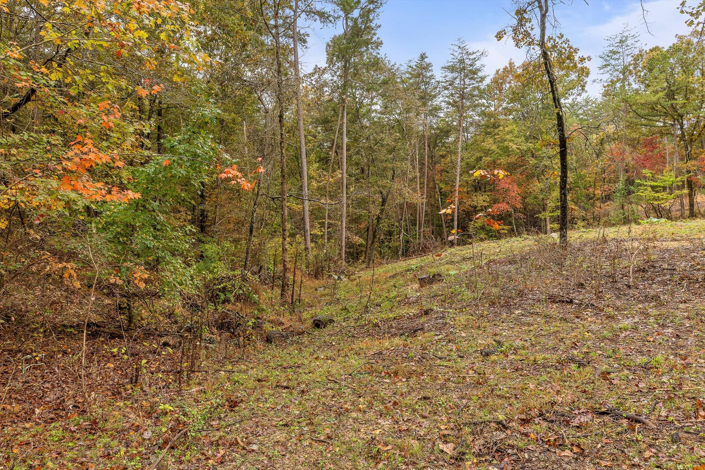 00 Countryside Drive