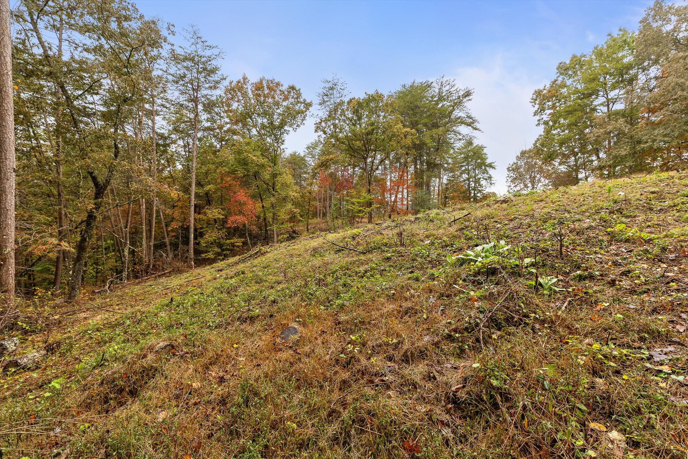 00 Countryside Drive