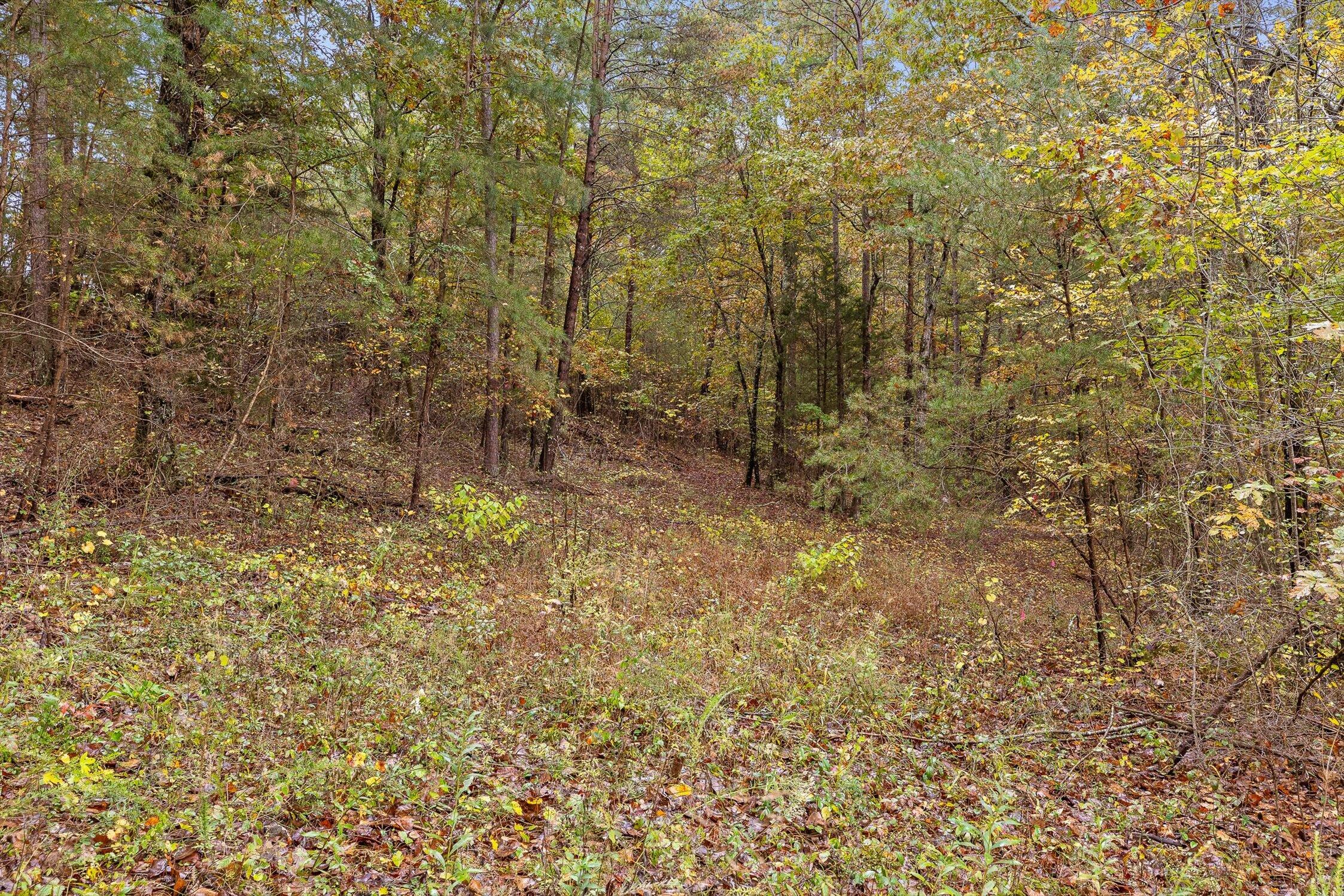 00 Countryside Drive