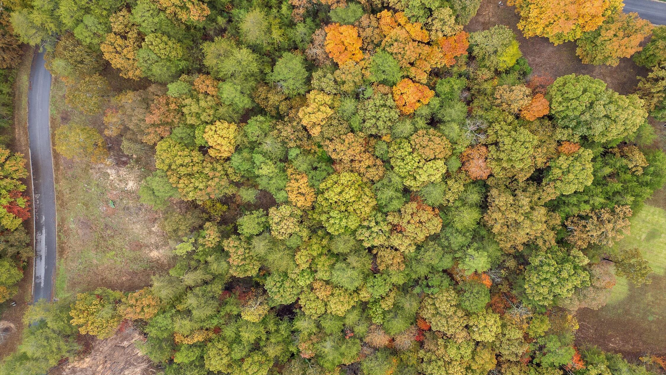 00 Countryside Drive