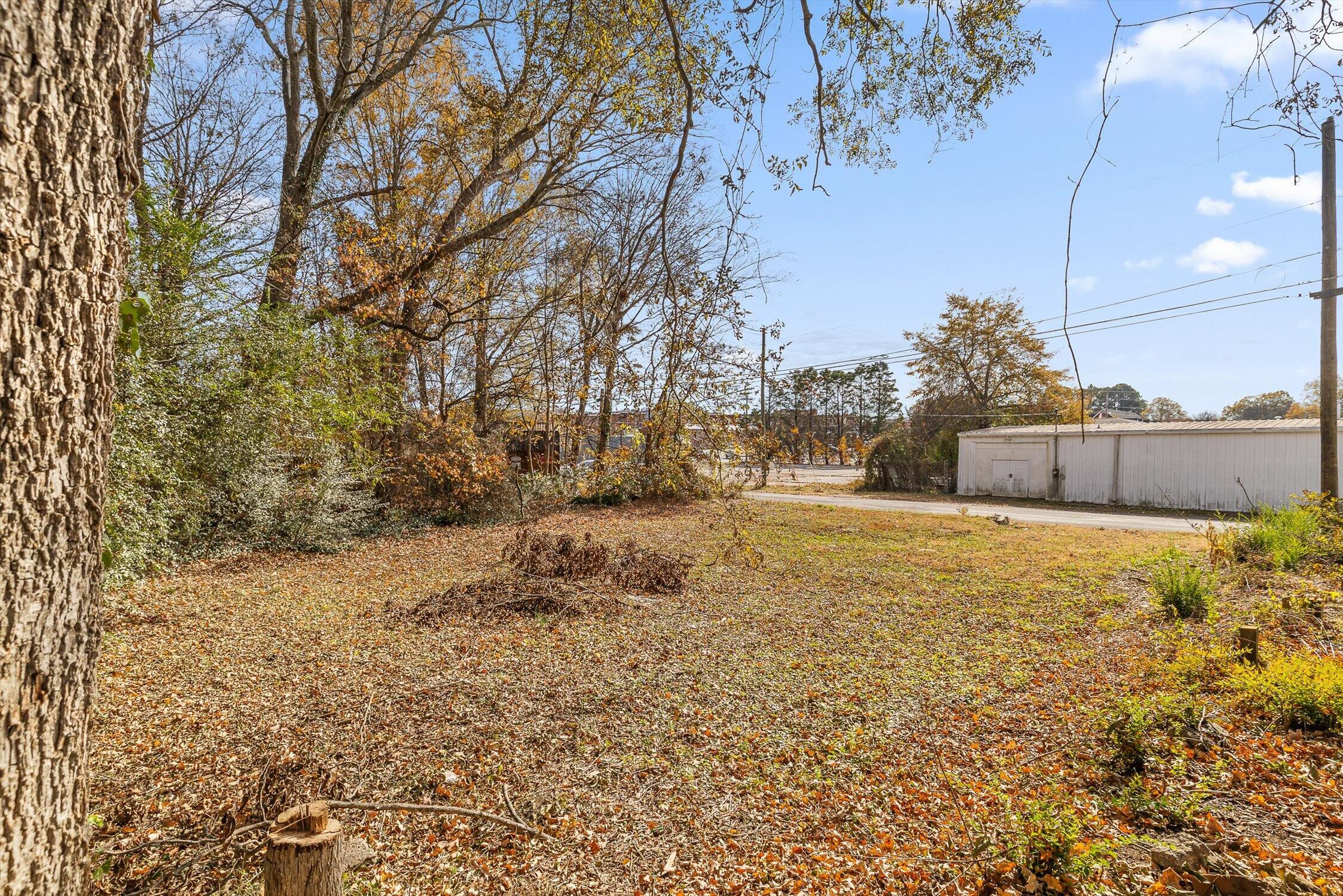 207 Culberson Avenue, LaFayette