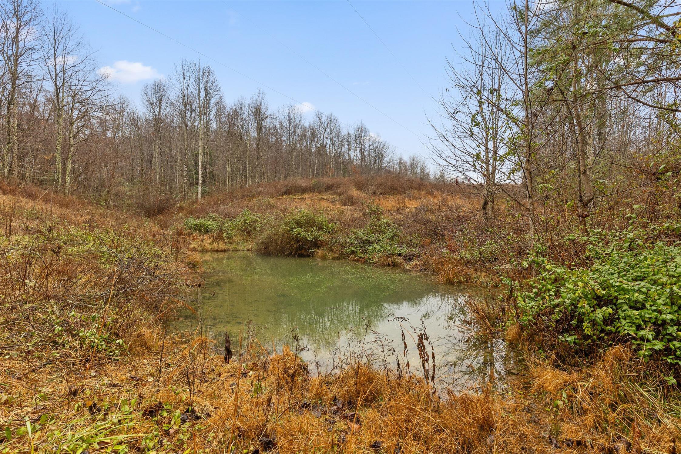 1363 Bass Layne Road