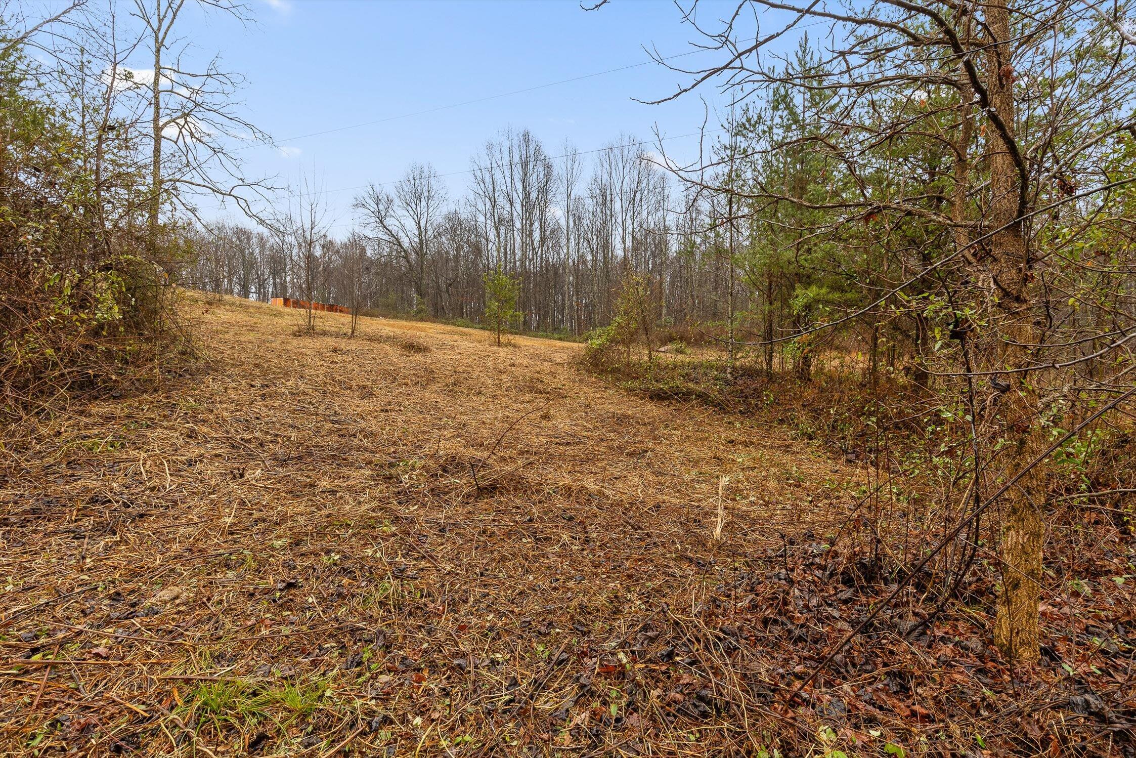 1363 Bass Layne Road