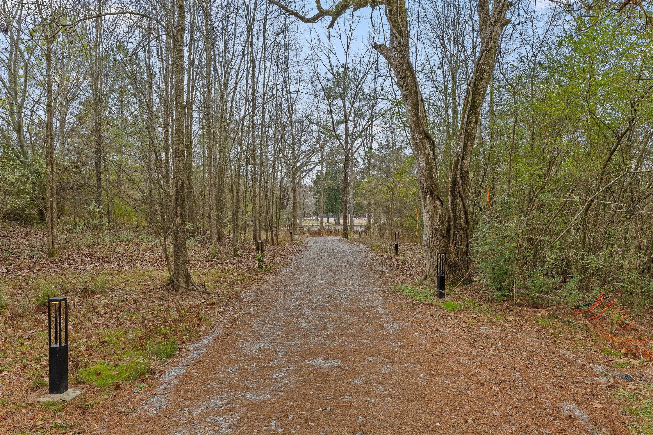 8187 Lemonade Street