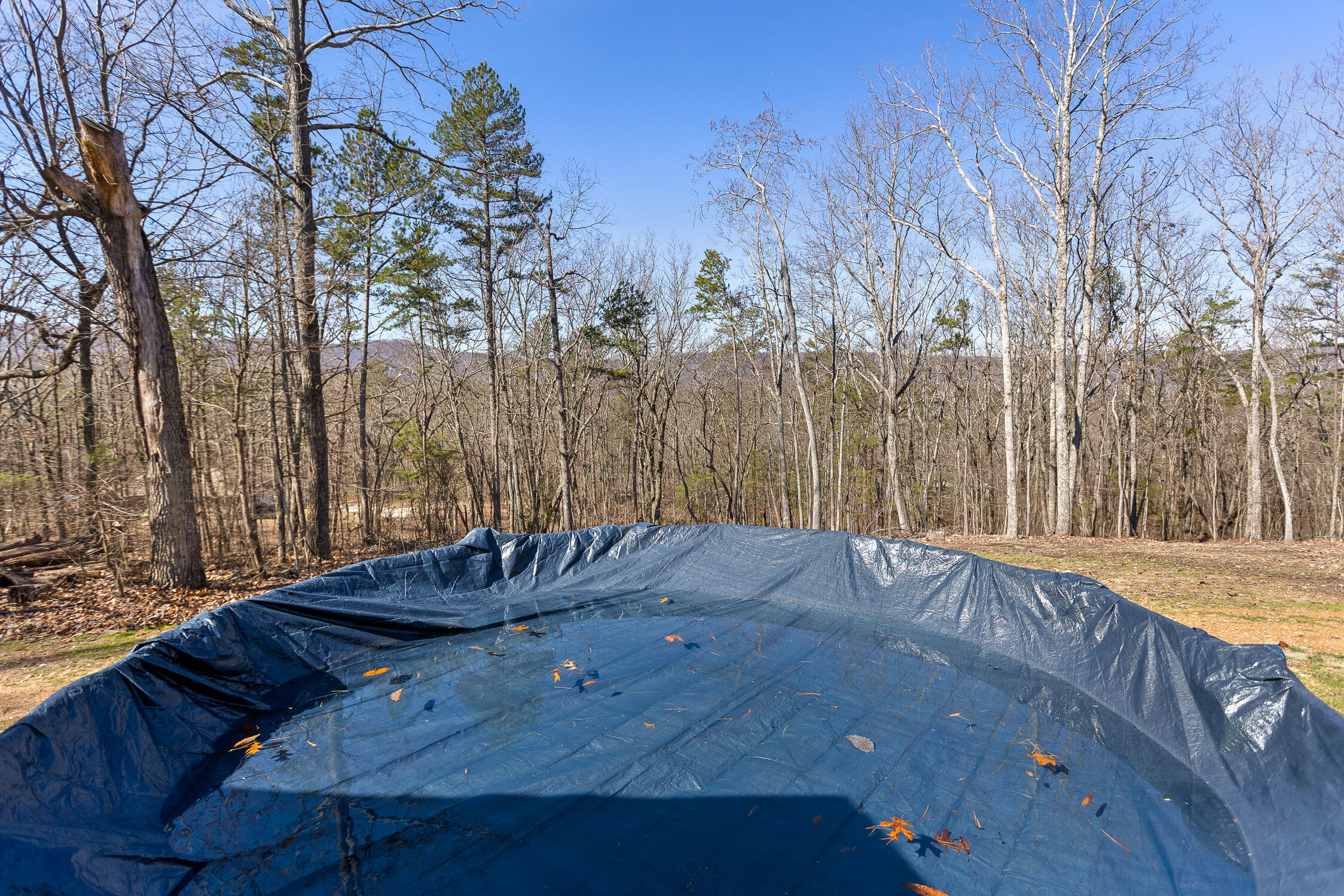 1080 Harp Switch Road