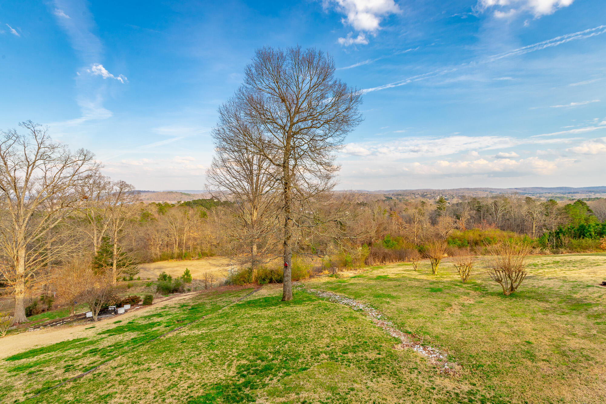 5920 Rainbow Springs Drive