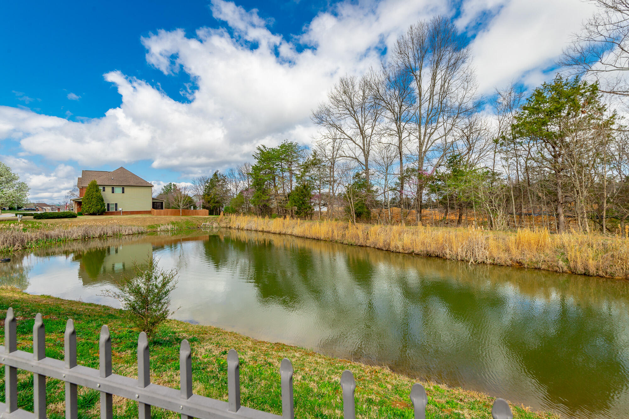 8168 Trout Lily Drive