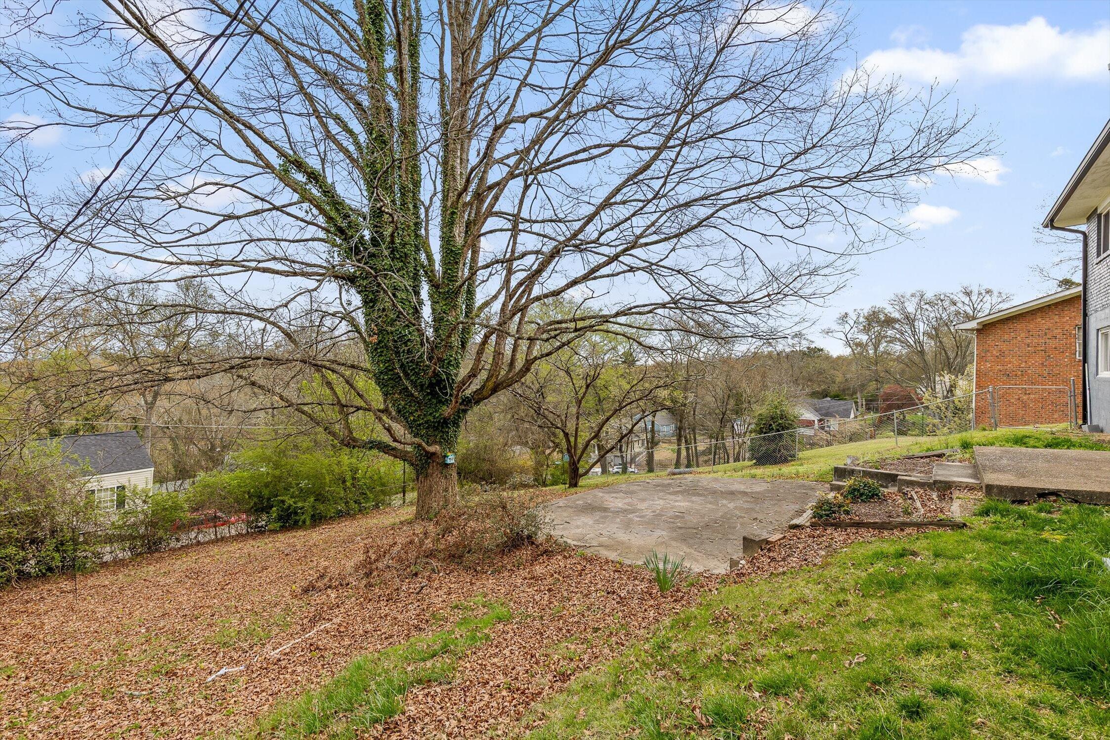 208 Buena Vista Drive