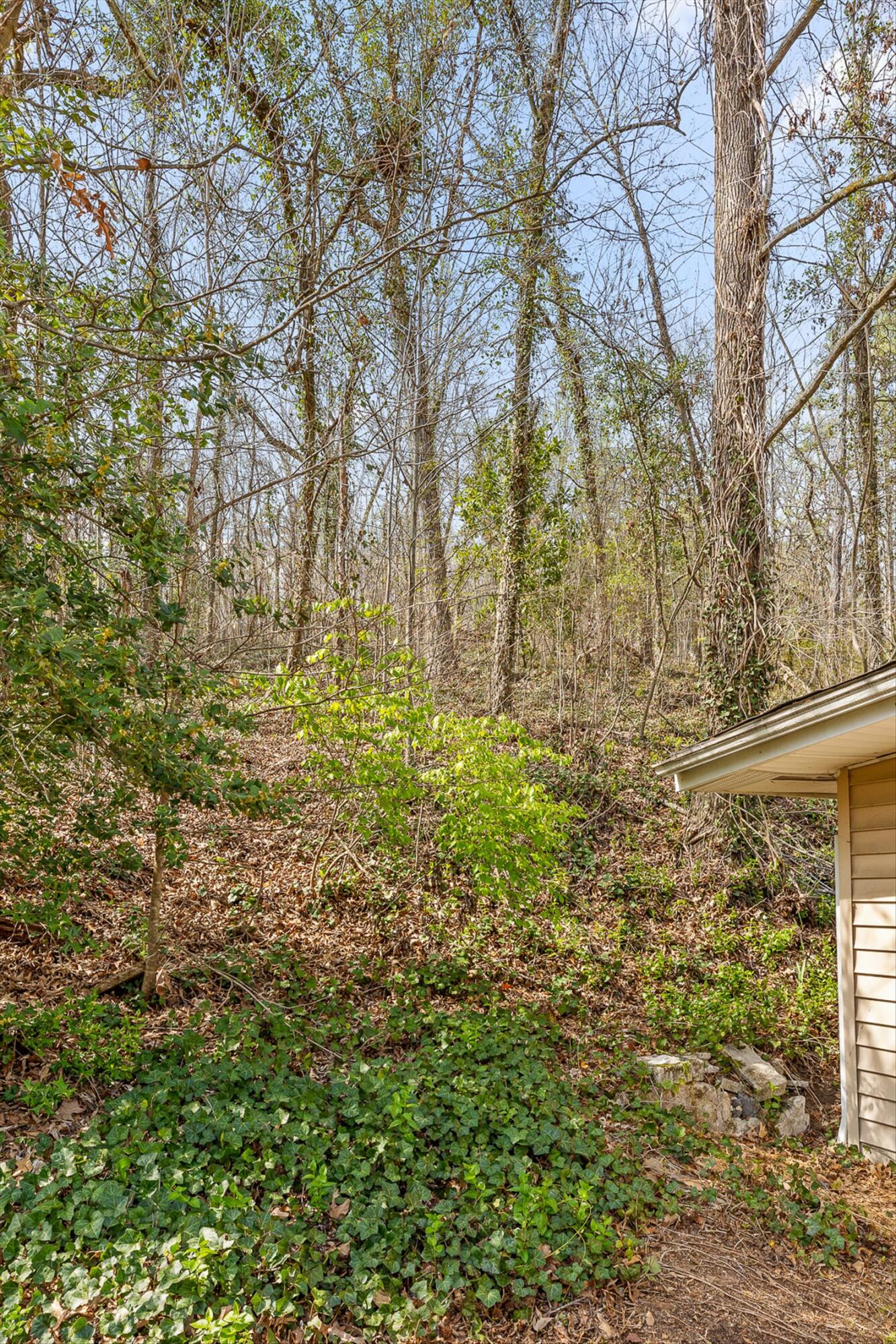 3735 Thrushwood Drive