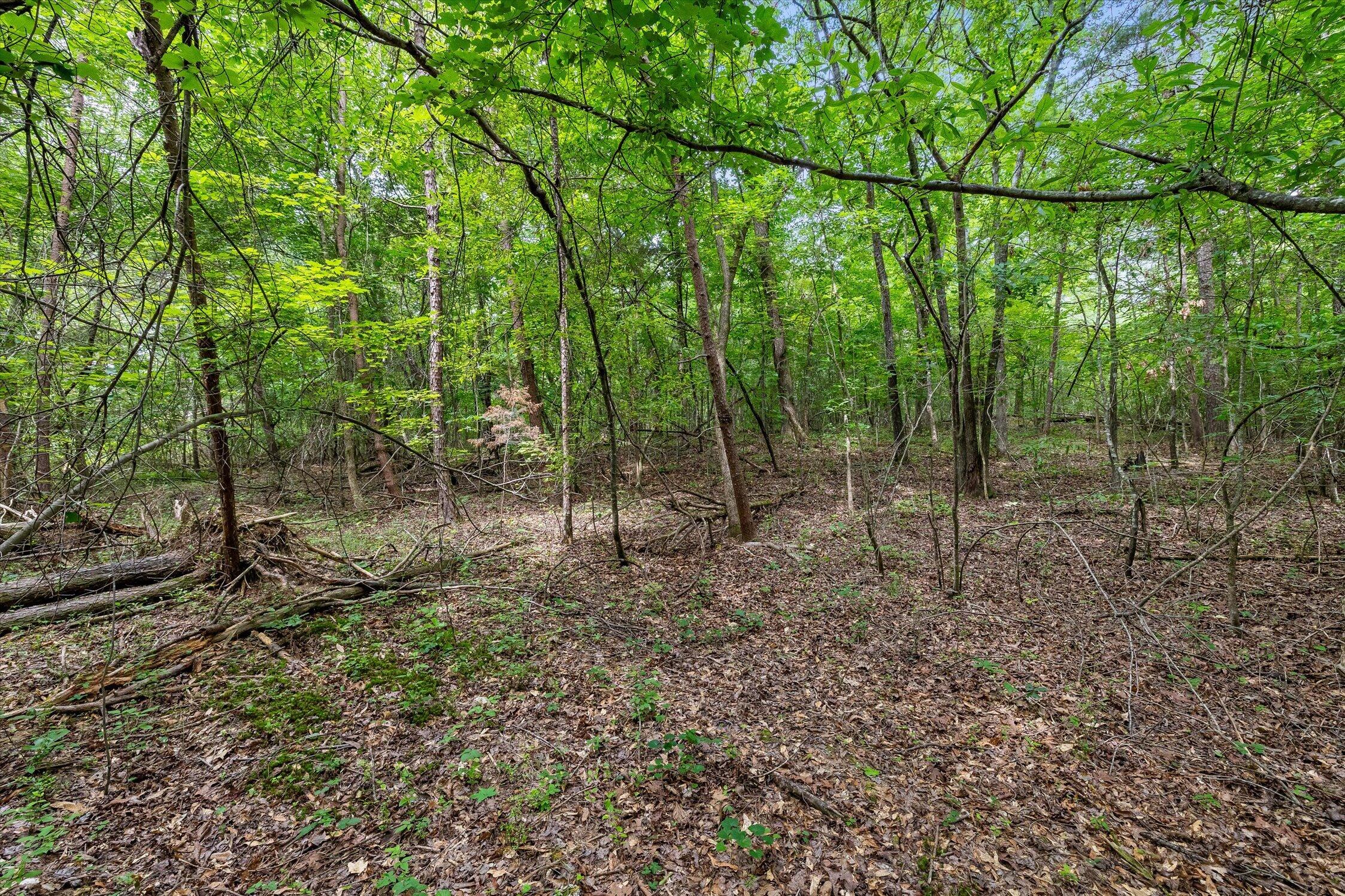 1906 Spradling Road