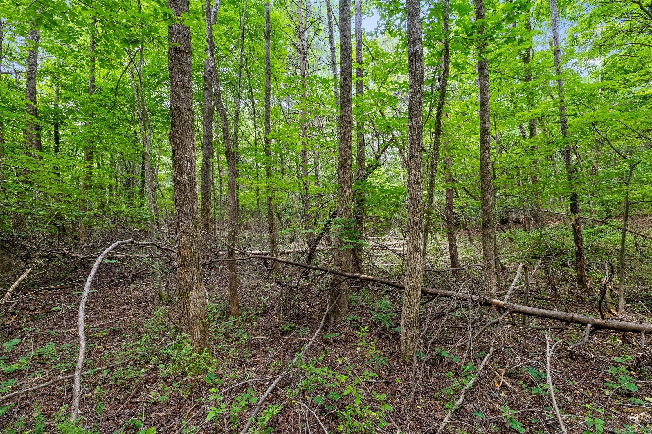 1906 Spradling Road
