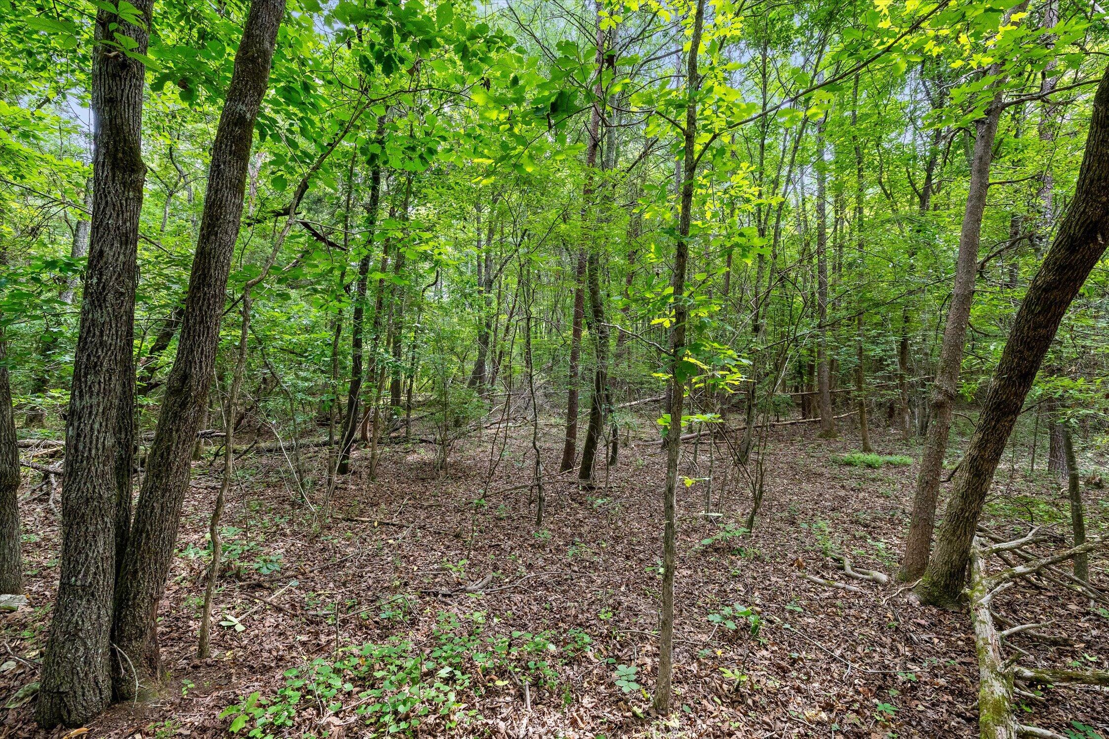 1906 Spradling Road