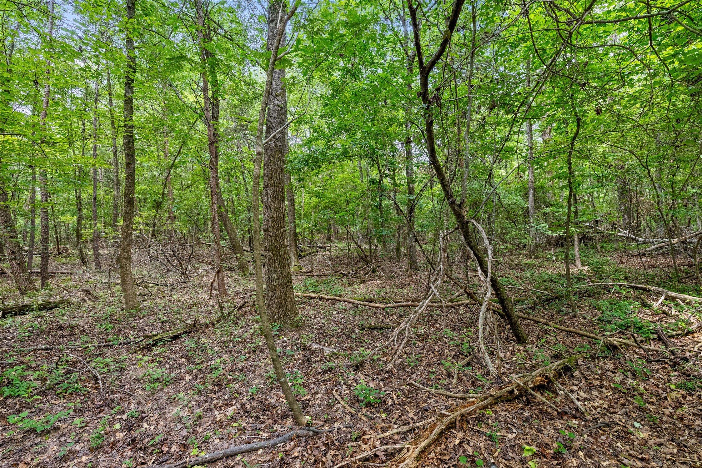 1906 Spradling Road