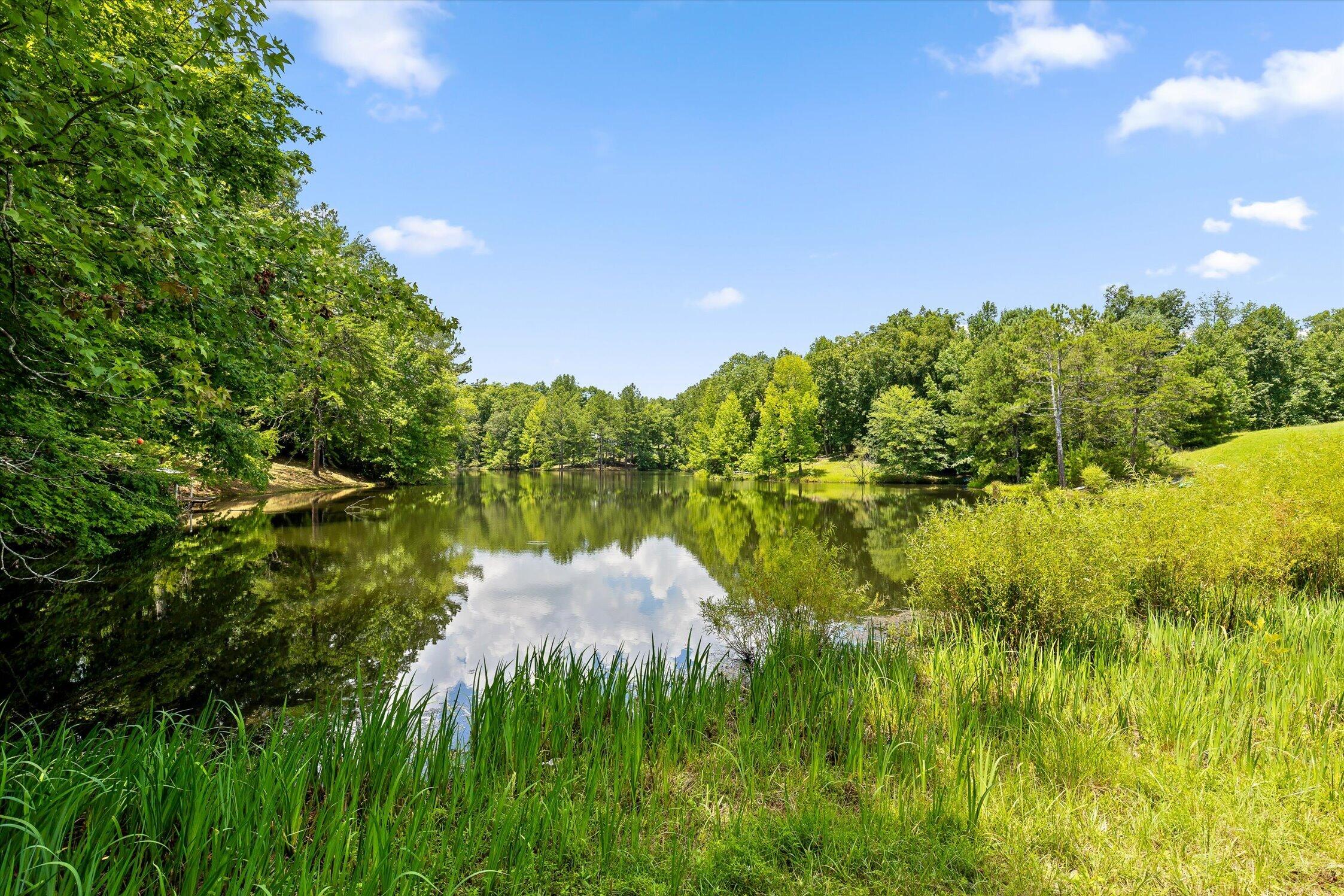 159 Dogwood Trail NE