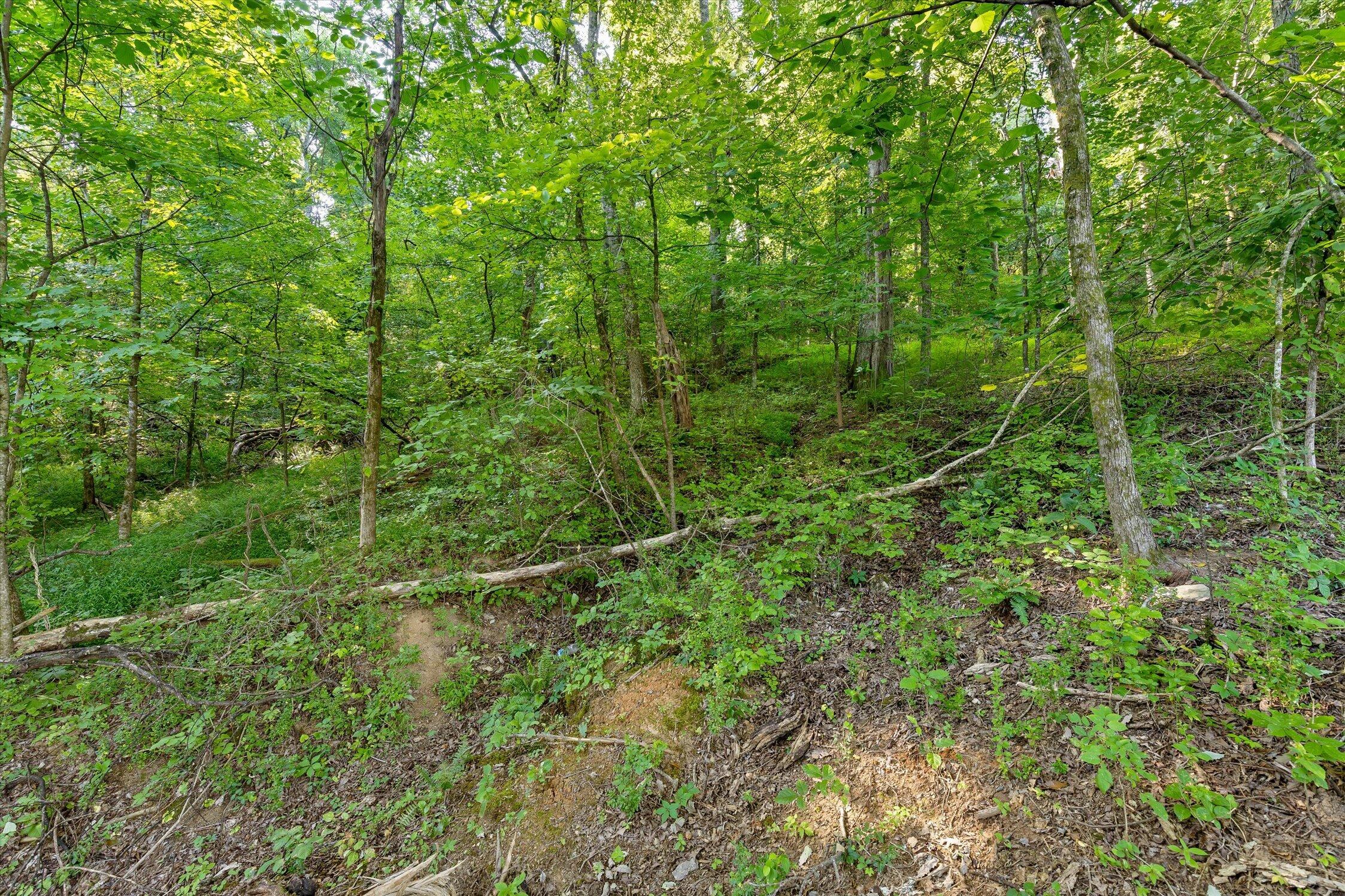 6833 Big Ridge Road