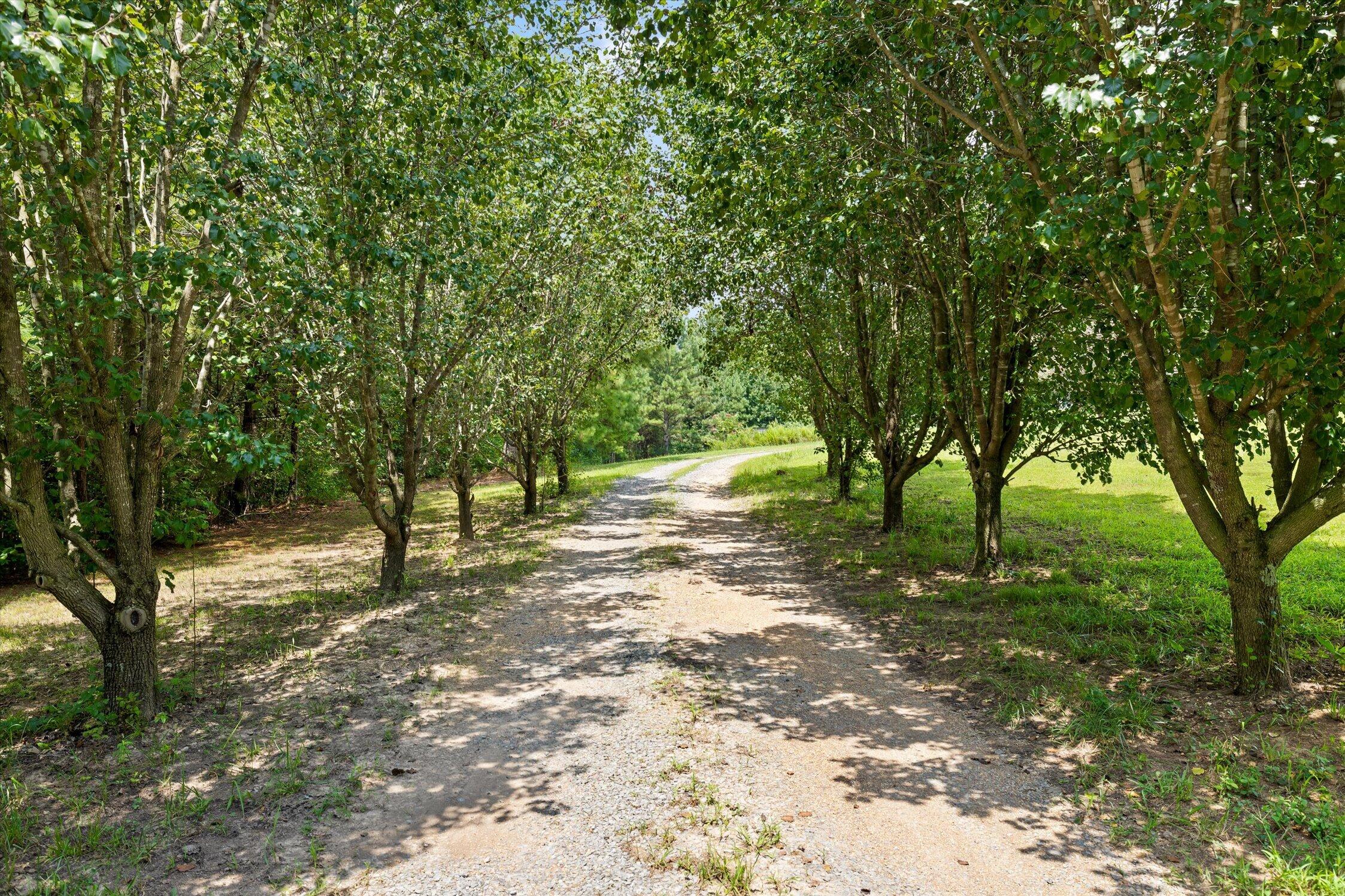 249 Blackfoot Drive