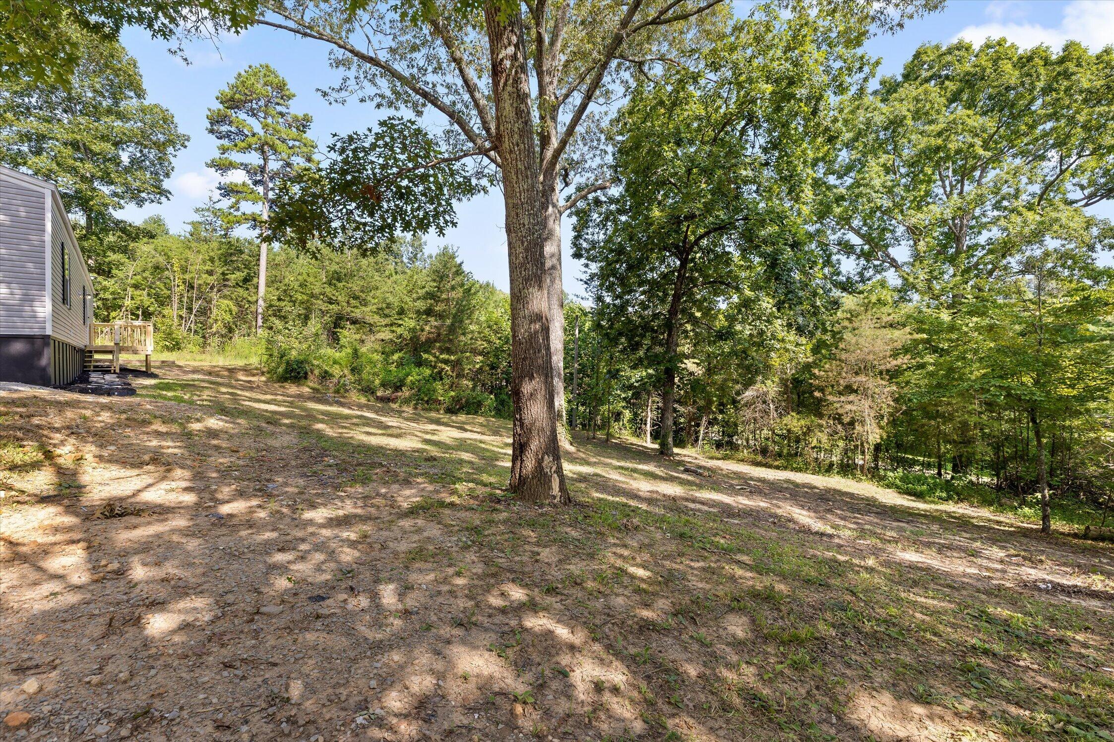 319 Scratch Ankle Road