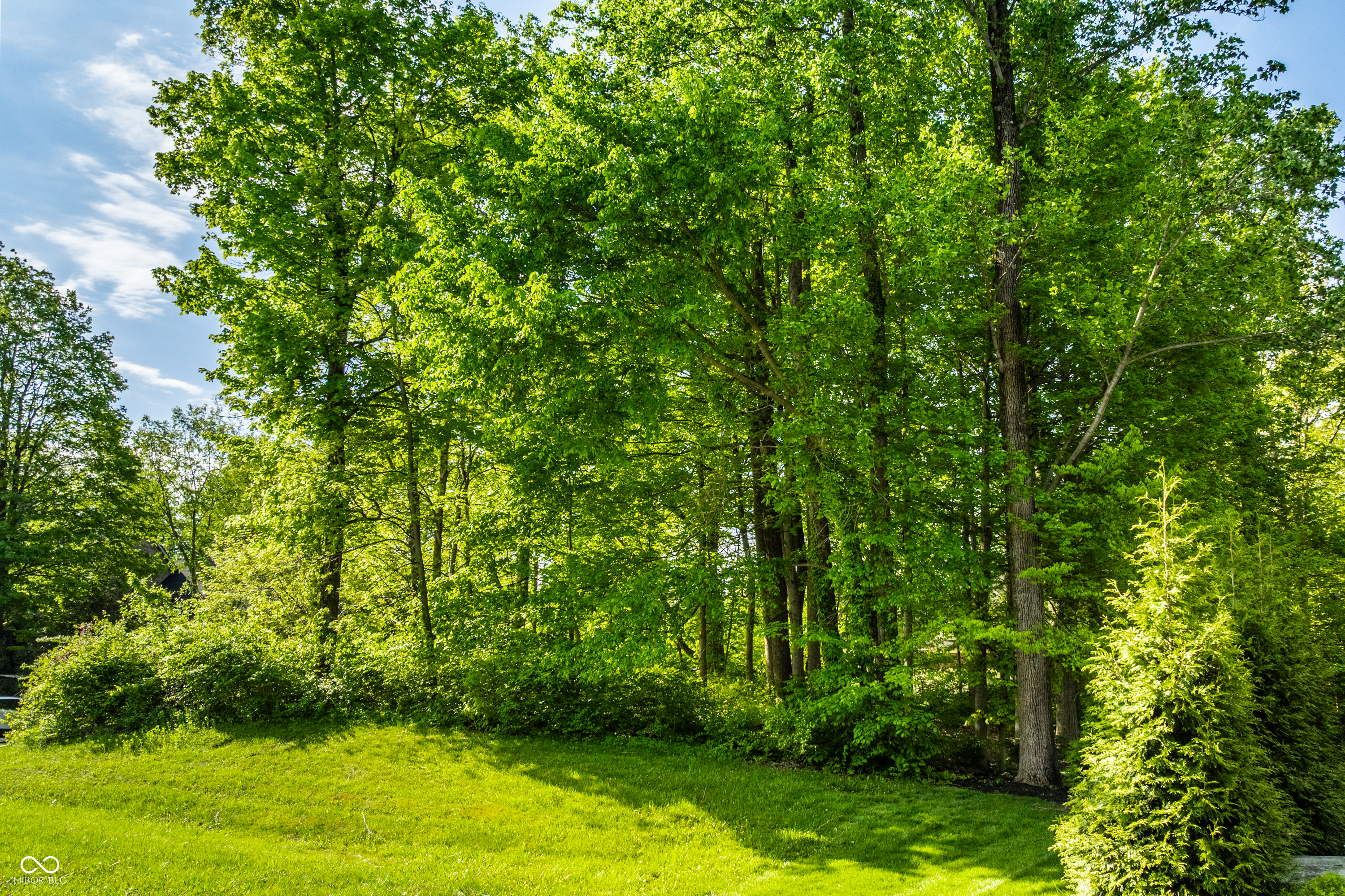 0 Chase Oak Court