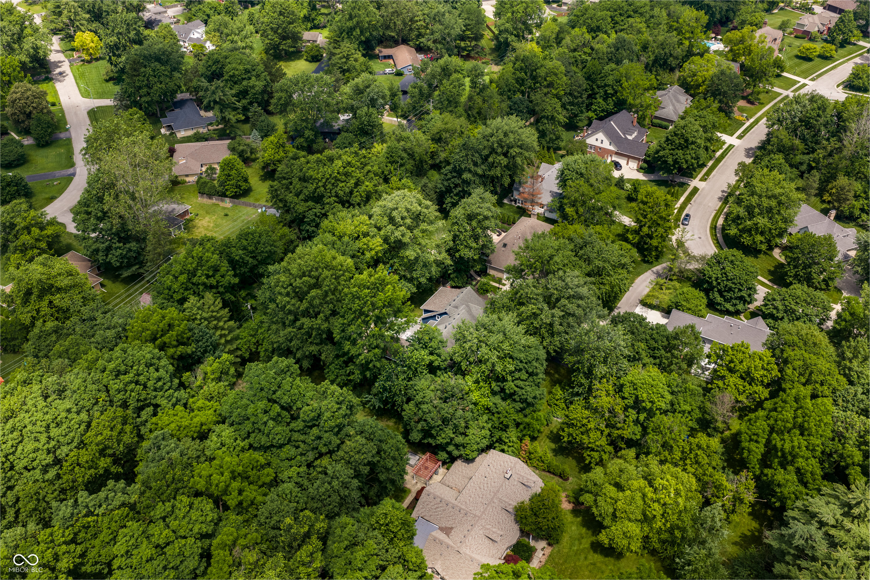 8114 Meadowbrook Drive