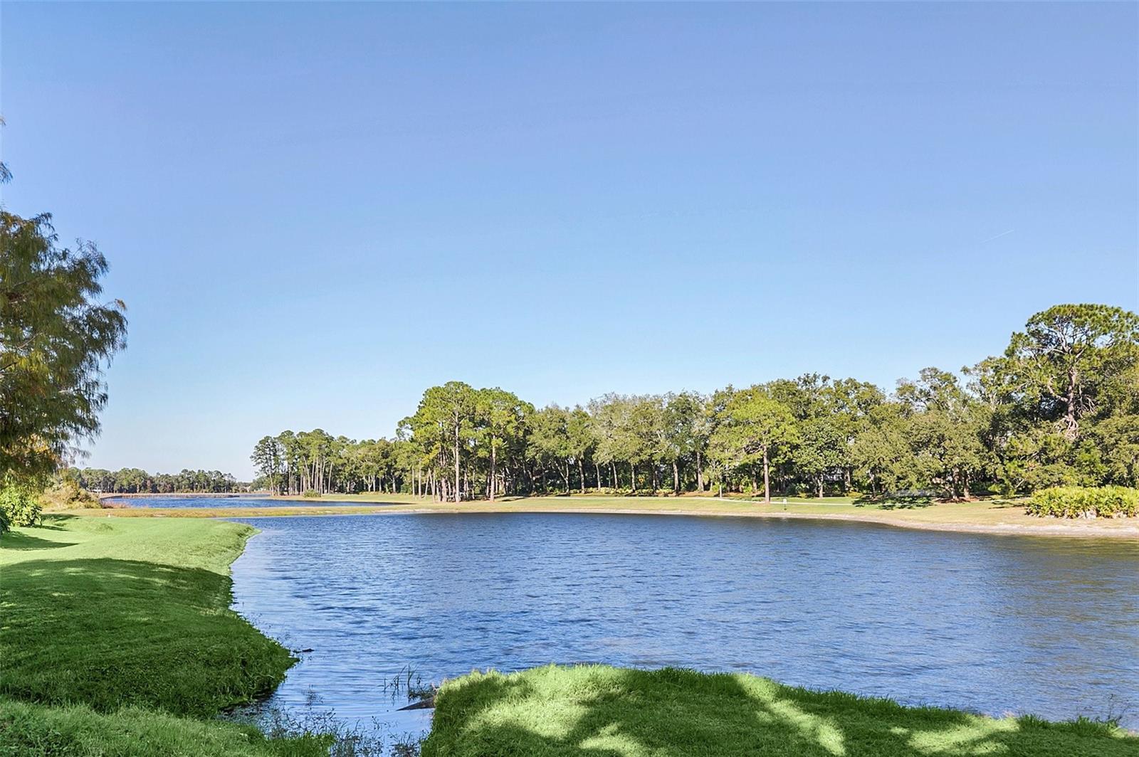 1438 BRISTOL PARK PL