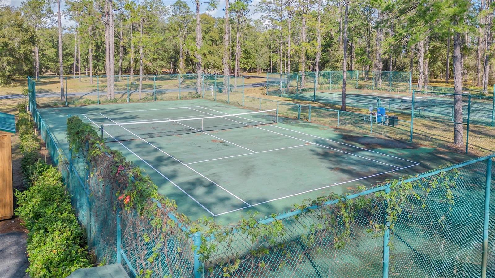 3106 BRIGHT LAKE CIR