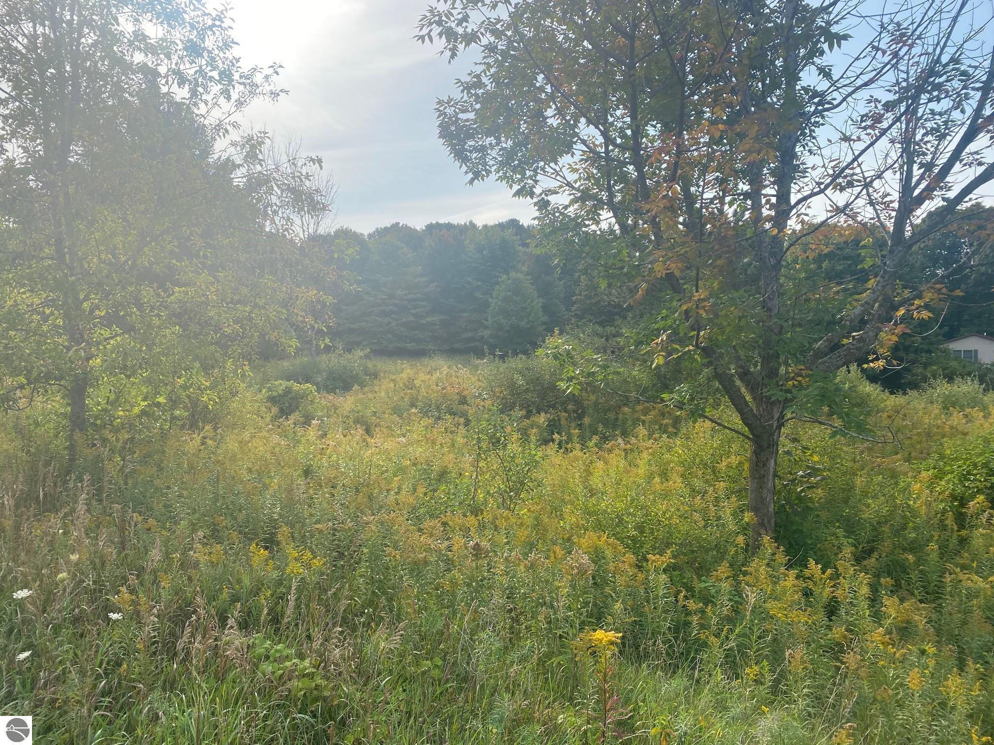 Lot 33 Fran Avenue