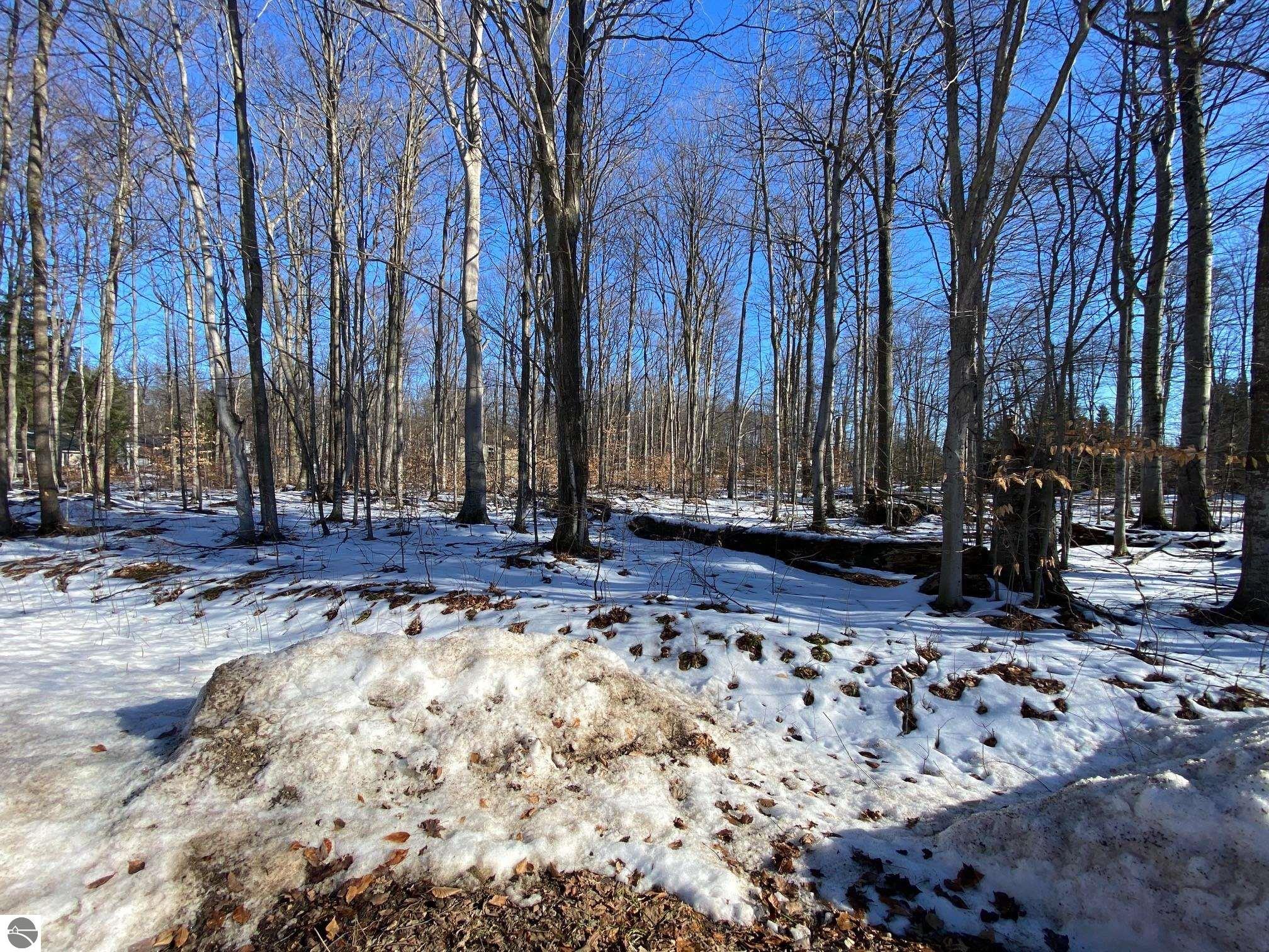 E Sugar Maple Drive