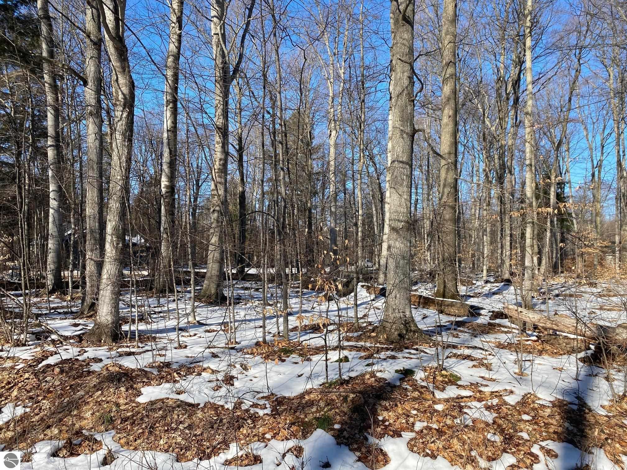 E Sugar Maple Drive