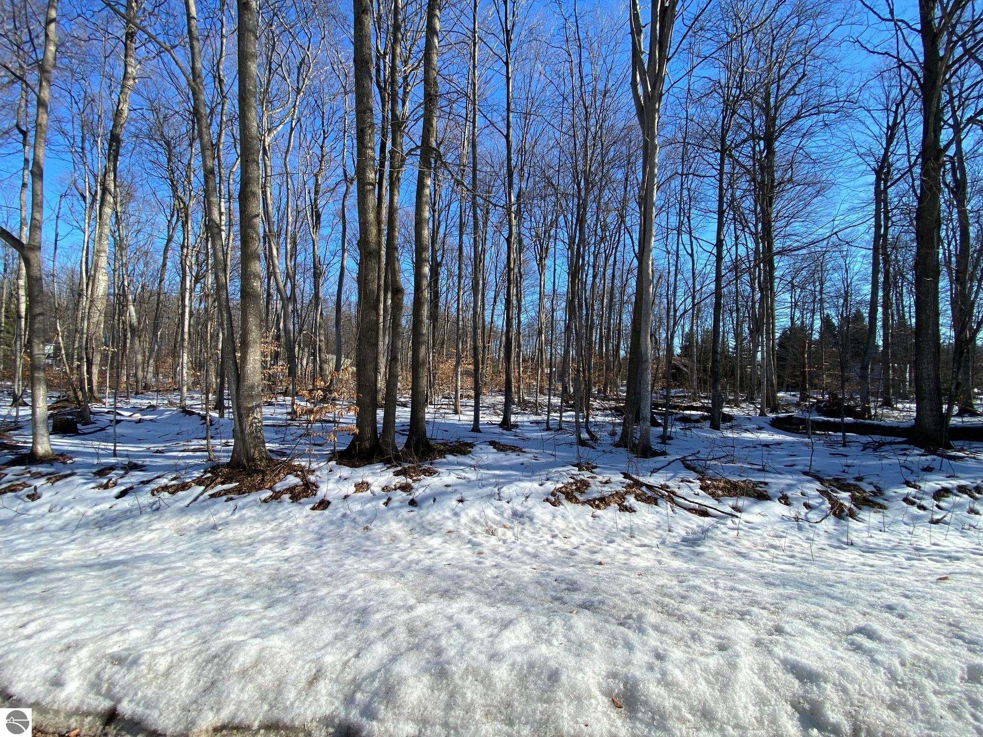 E Sugar Maple Drive