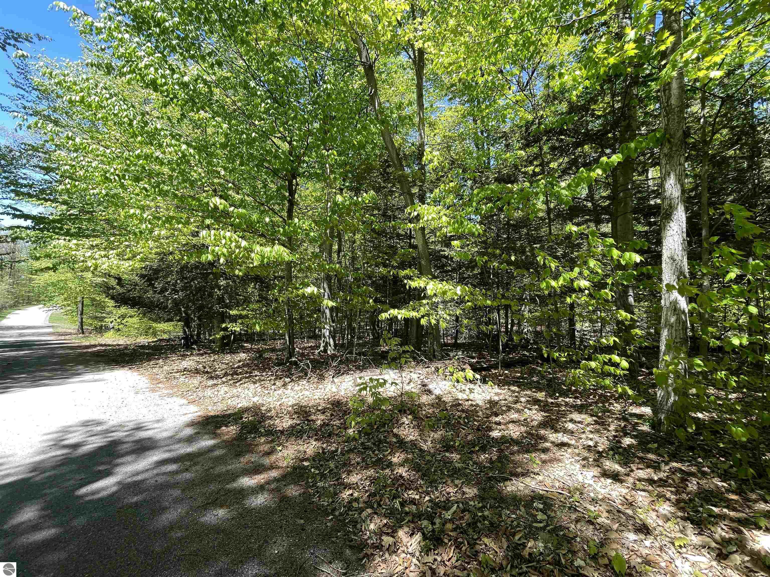 Lot 17 S Club Drive