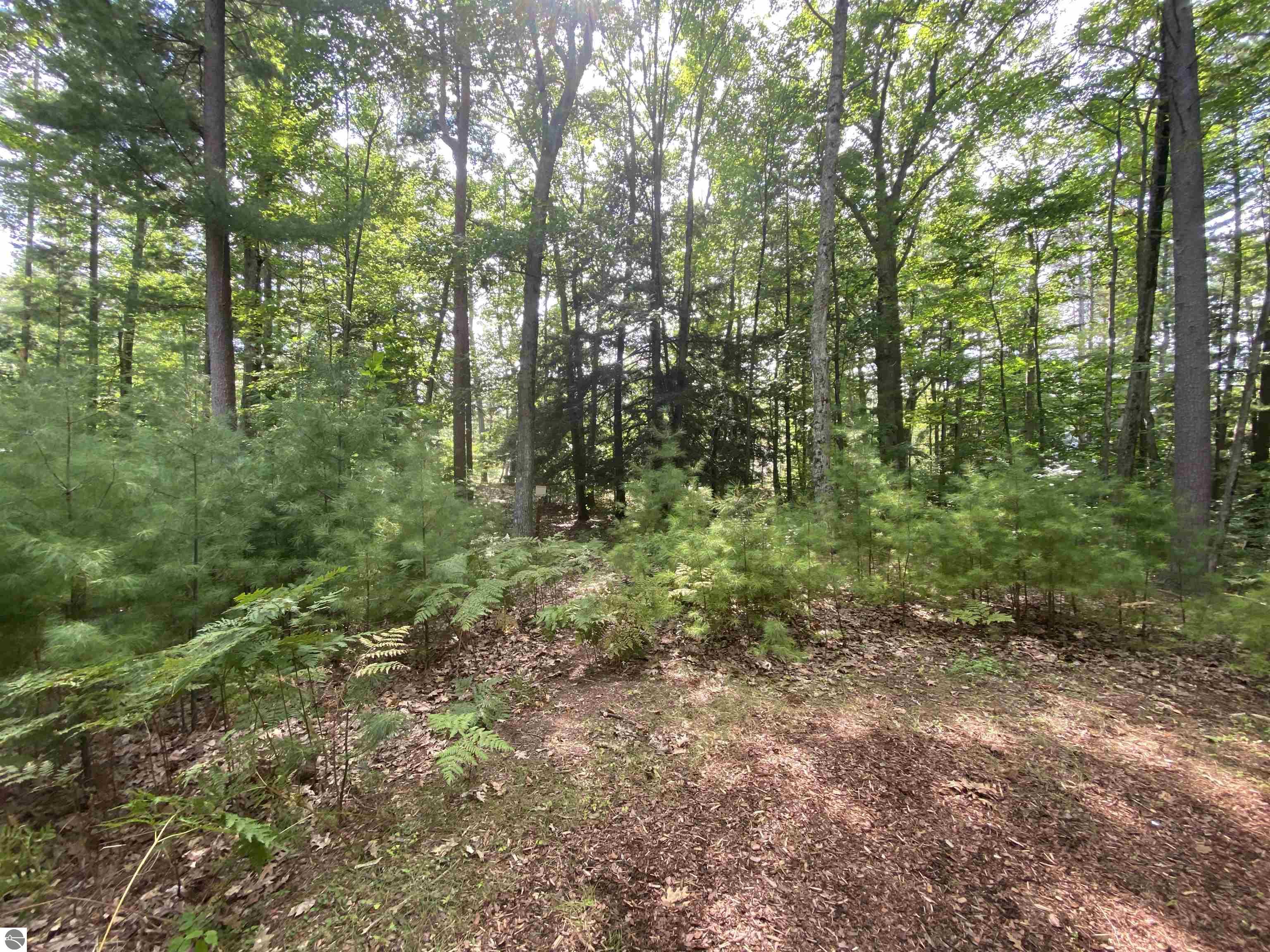 12 Deer Park