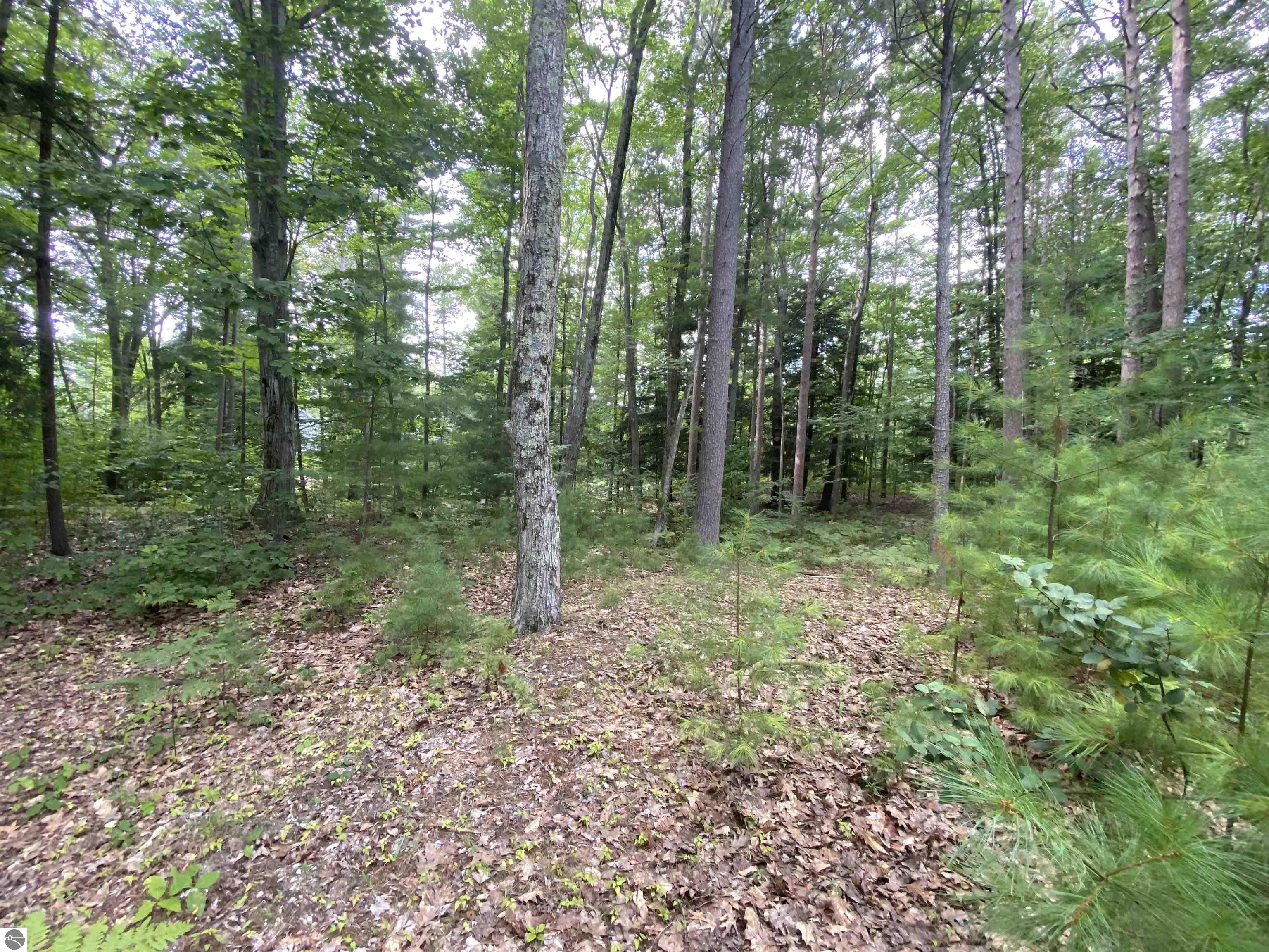 12 Deer Park