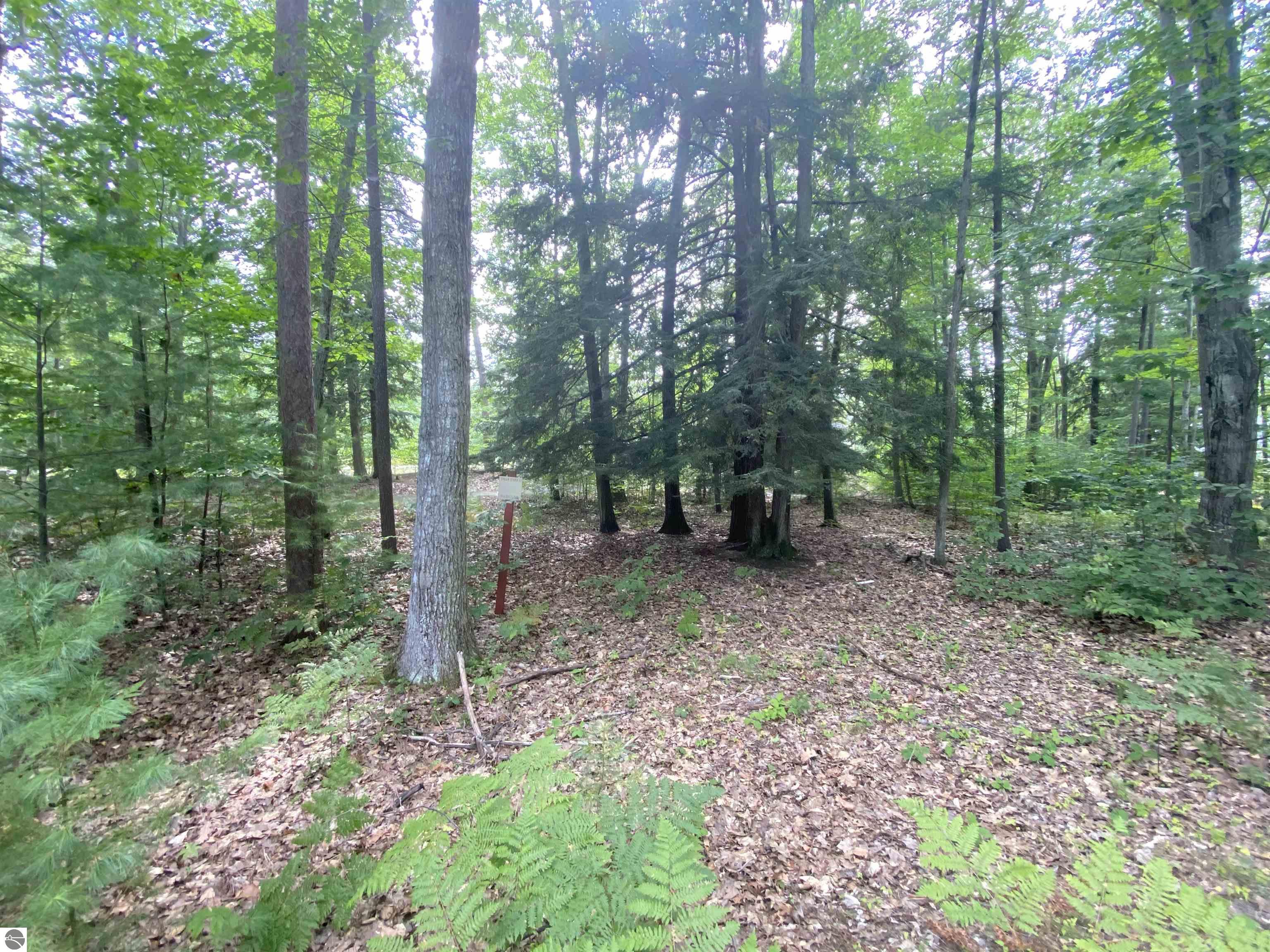12 Deer Park