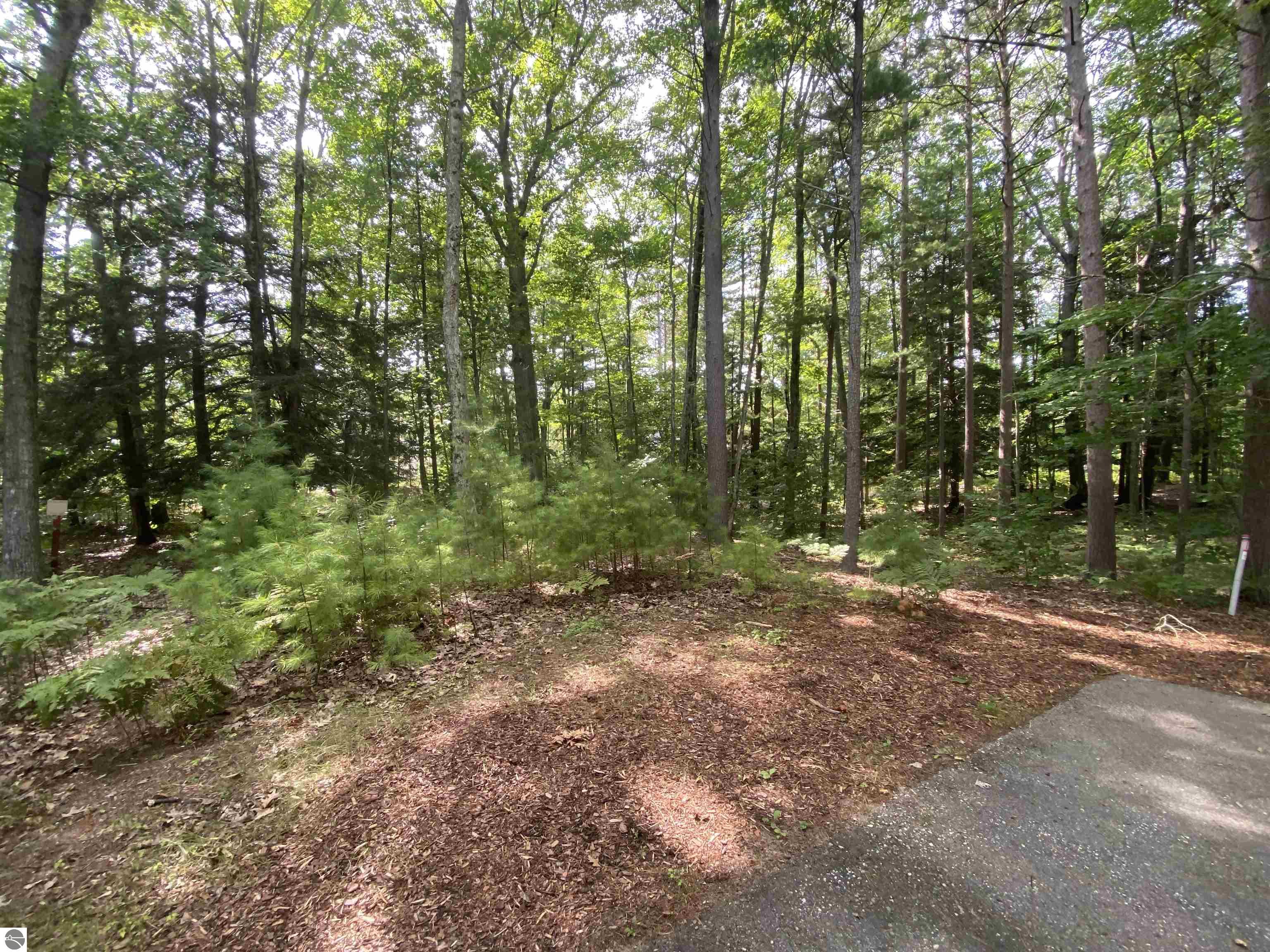 12 Deer Park