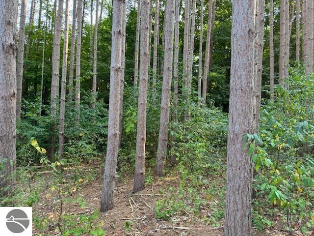 0 S Benzonia Trail