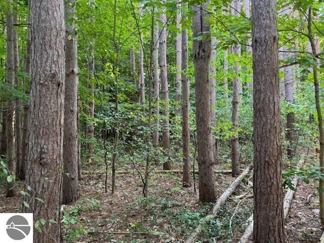 0 S Benzonia Trail